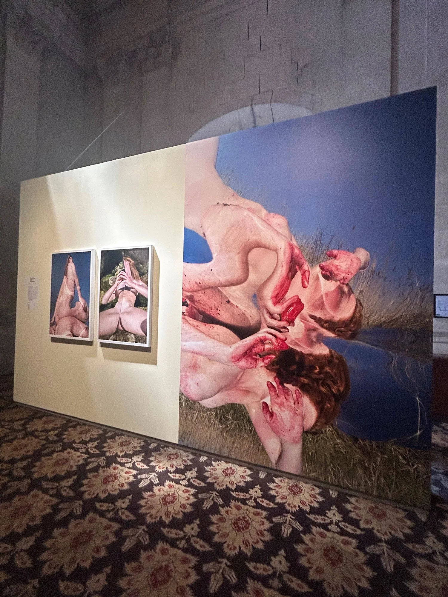 see-zeen-020-Rencontres-Arles-Image-Cannibale-Henriette-Sabroe-Ebbesen-IMG_0920.jpg