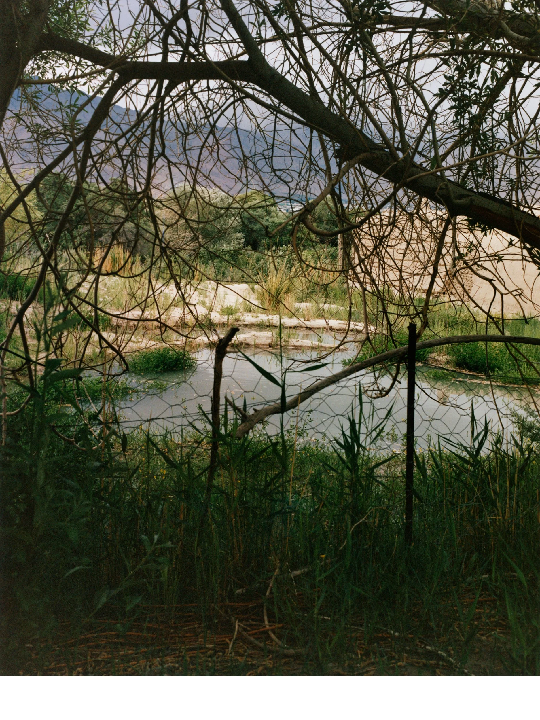 see-zeen-020-Where the Wind Rests_Yang Chen-03B.jpg