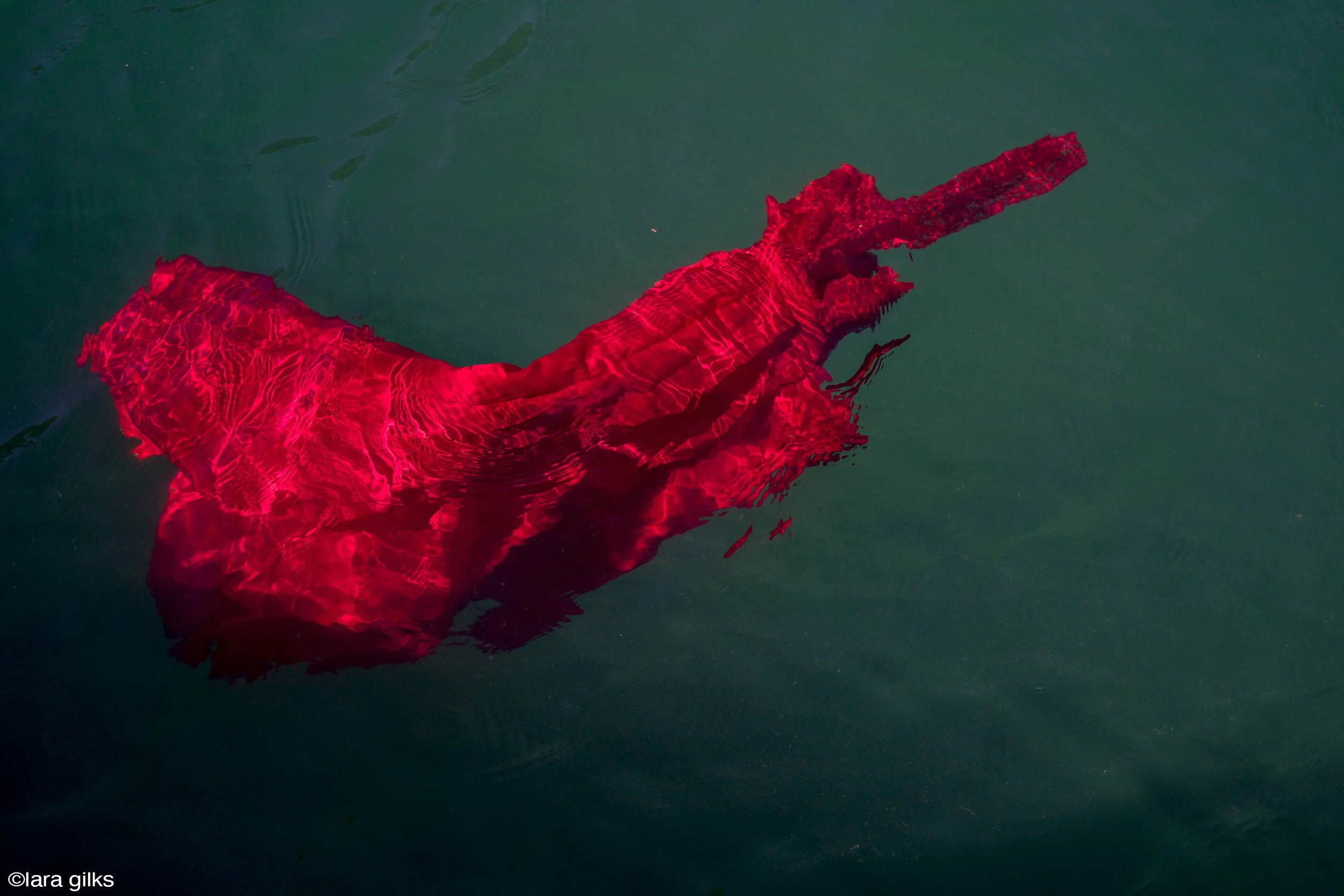 06-see-zeen-019-A-Visual-Dialogue-Gilks_Lara_Visual Alterations_03.jpg