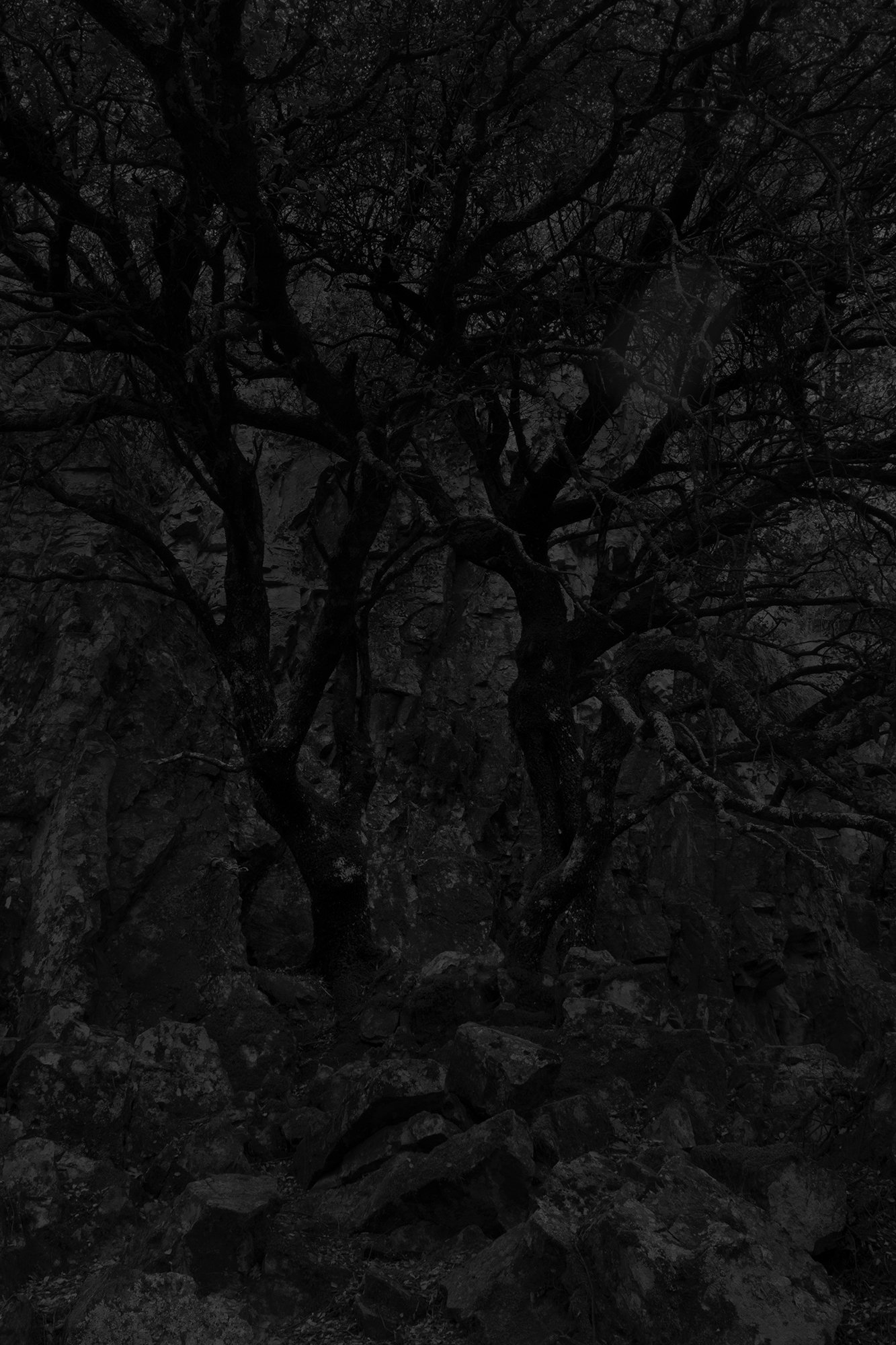 see-zeen_018_Vincent-Van-Gaalen-Absence_Spain_Cabaneros_2021.jpg