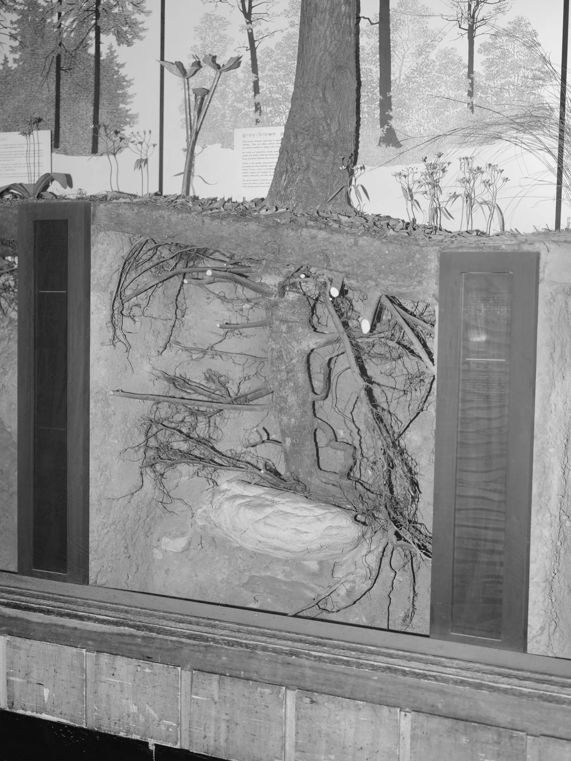 see-zeen_019_Zhu Gaocanyue-The_South_Is_Infinite_Yet_Finite-11.jpg