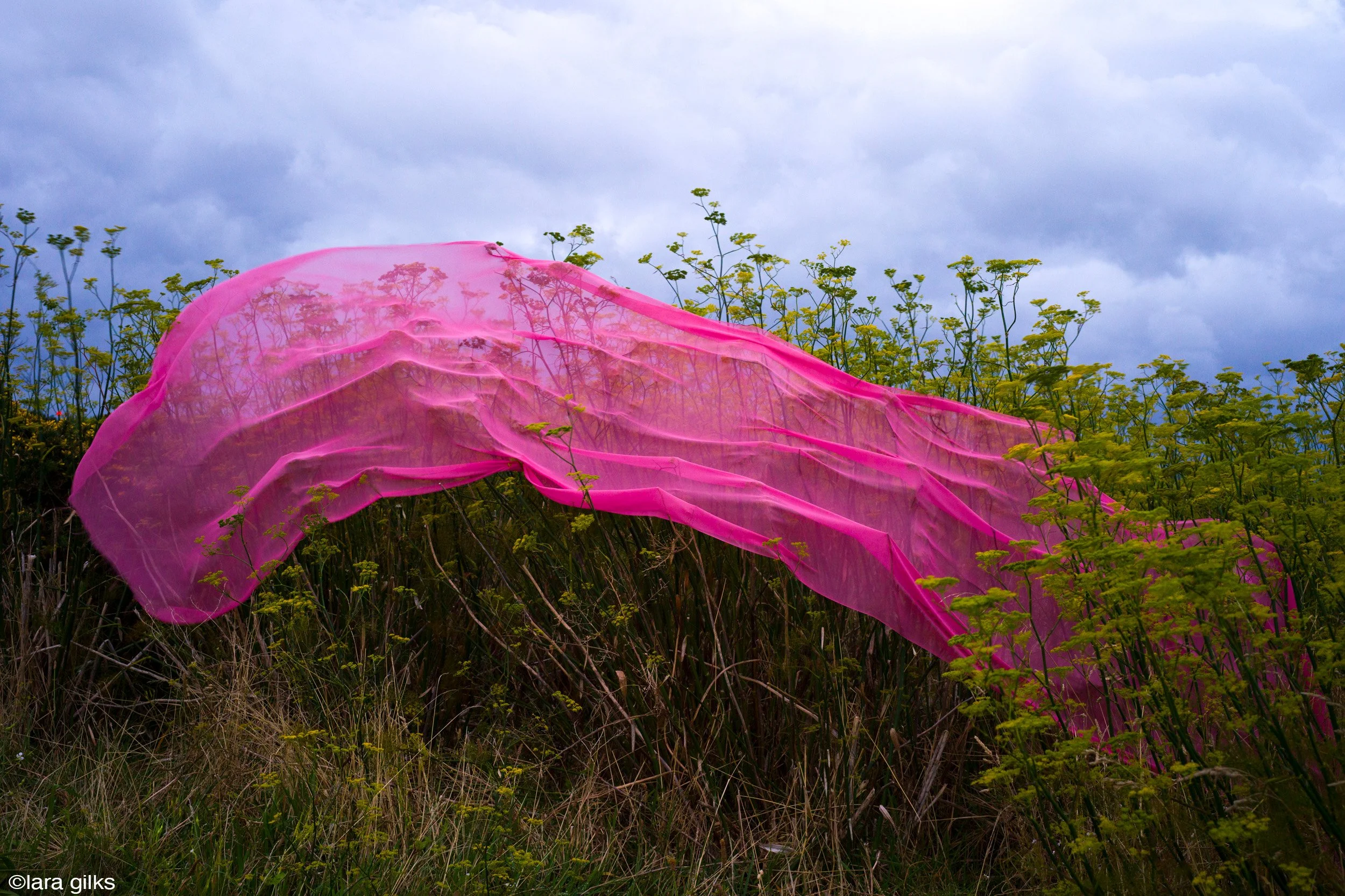 08-see-zeen-019-A-Visual-Dialogue-Gilks_Lara_Visual Alterations_04.jpg