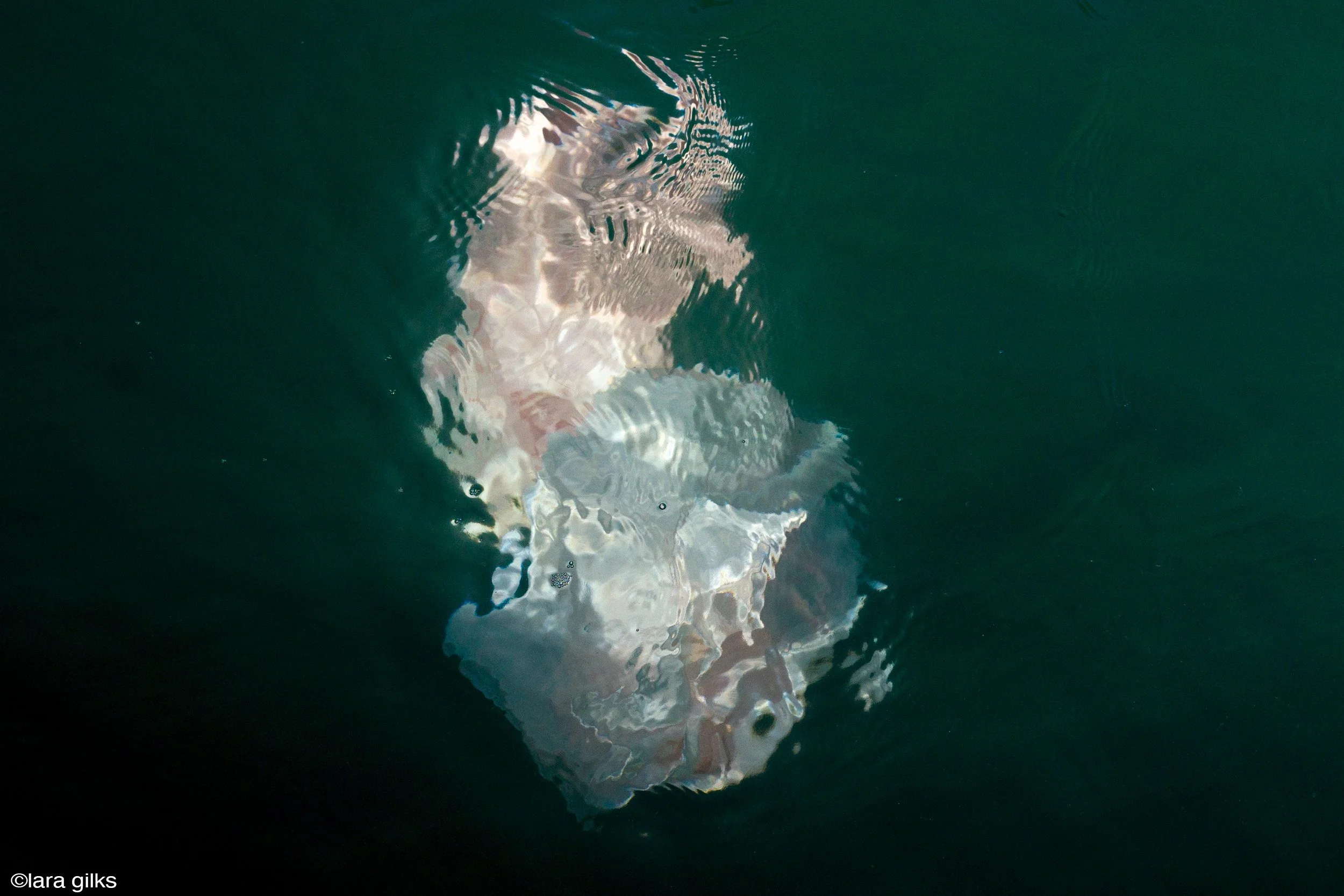 12-see-zeen-019-A-Visual-Dialogue-Gilks_Lara_Visual Alterations_06.jpg