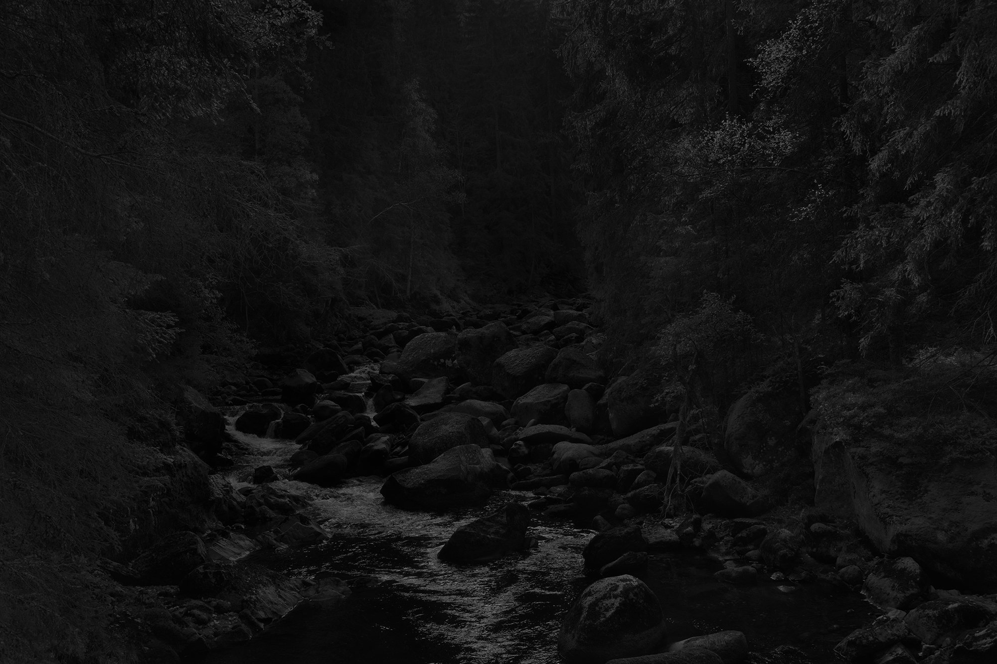 see-zeen_018_Vincent-Van-Gaalen-Absence_Czech Republic_Šumava_2021.jpg