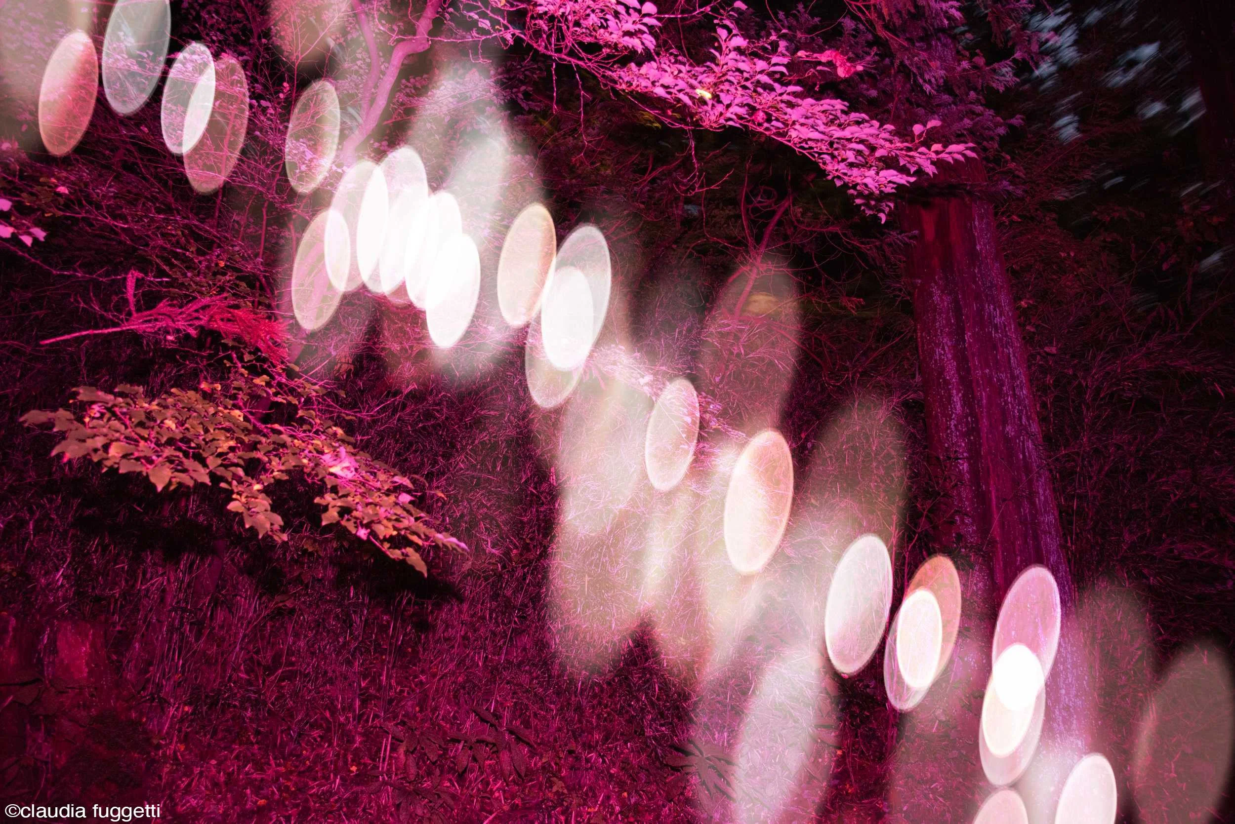 11-see-zeen-019-A-Visual-Dialogue-Fuggetti_Claudia_Visual Alterations_06.jpg