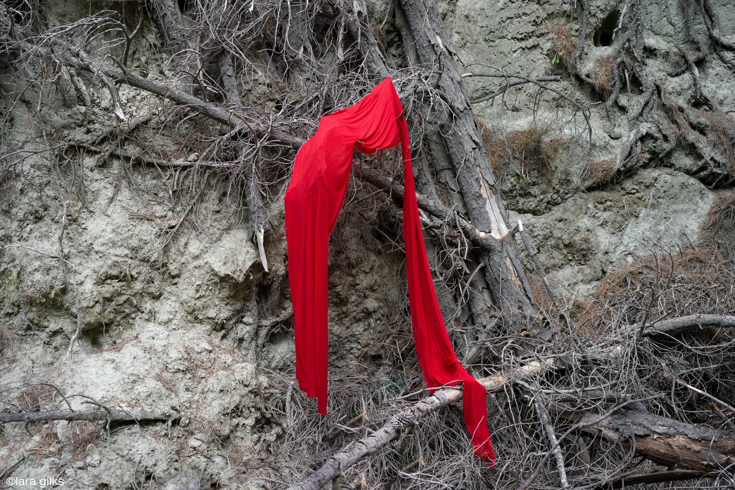 10-see-zeen-019-A-Visual-Dialogue-Gilks_Lara_Visual Alterations_05.jpg