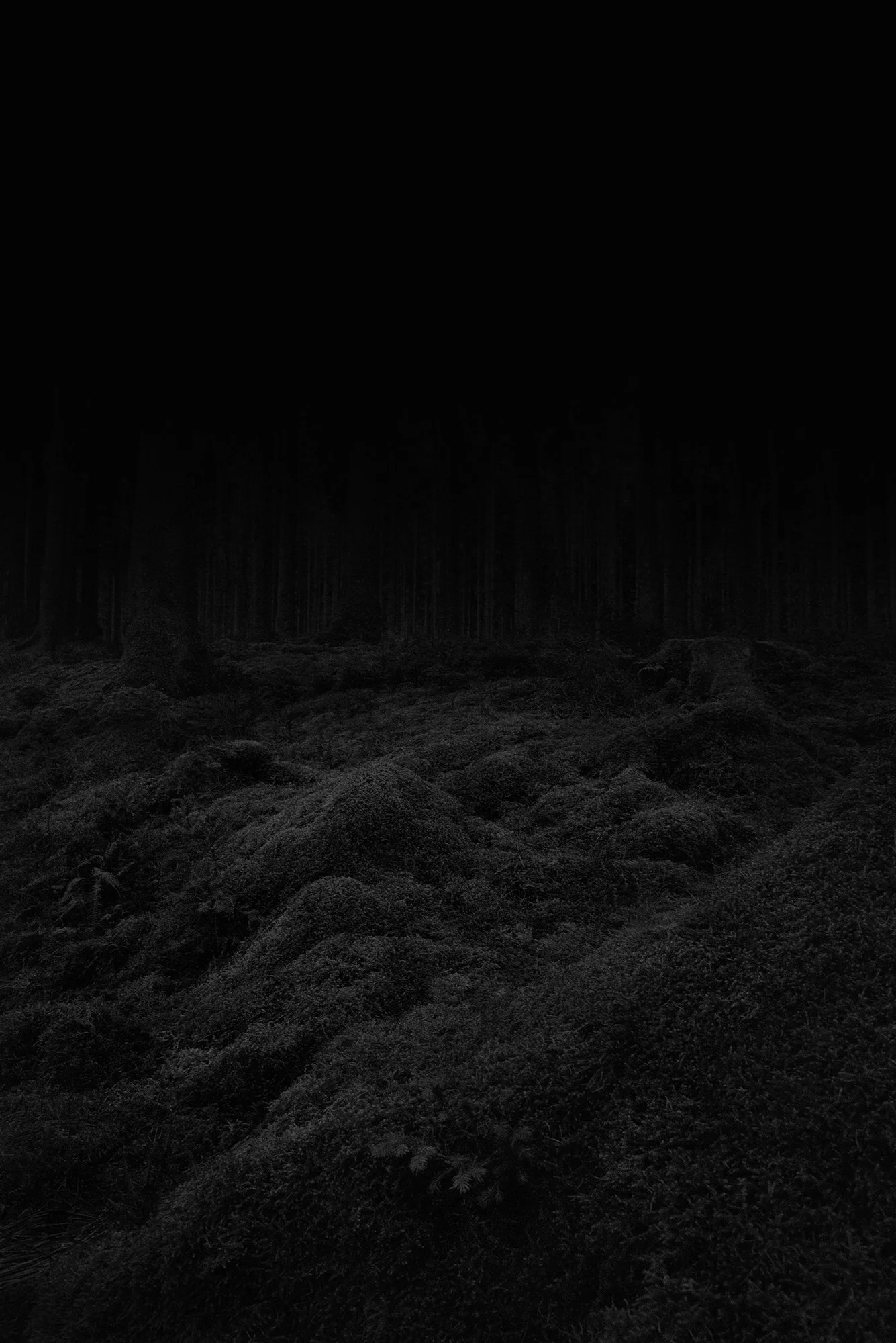 see-zeen_018_Vincent-Van-Gaalen-Absence_Belgium_Ardennes_2019.jpg