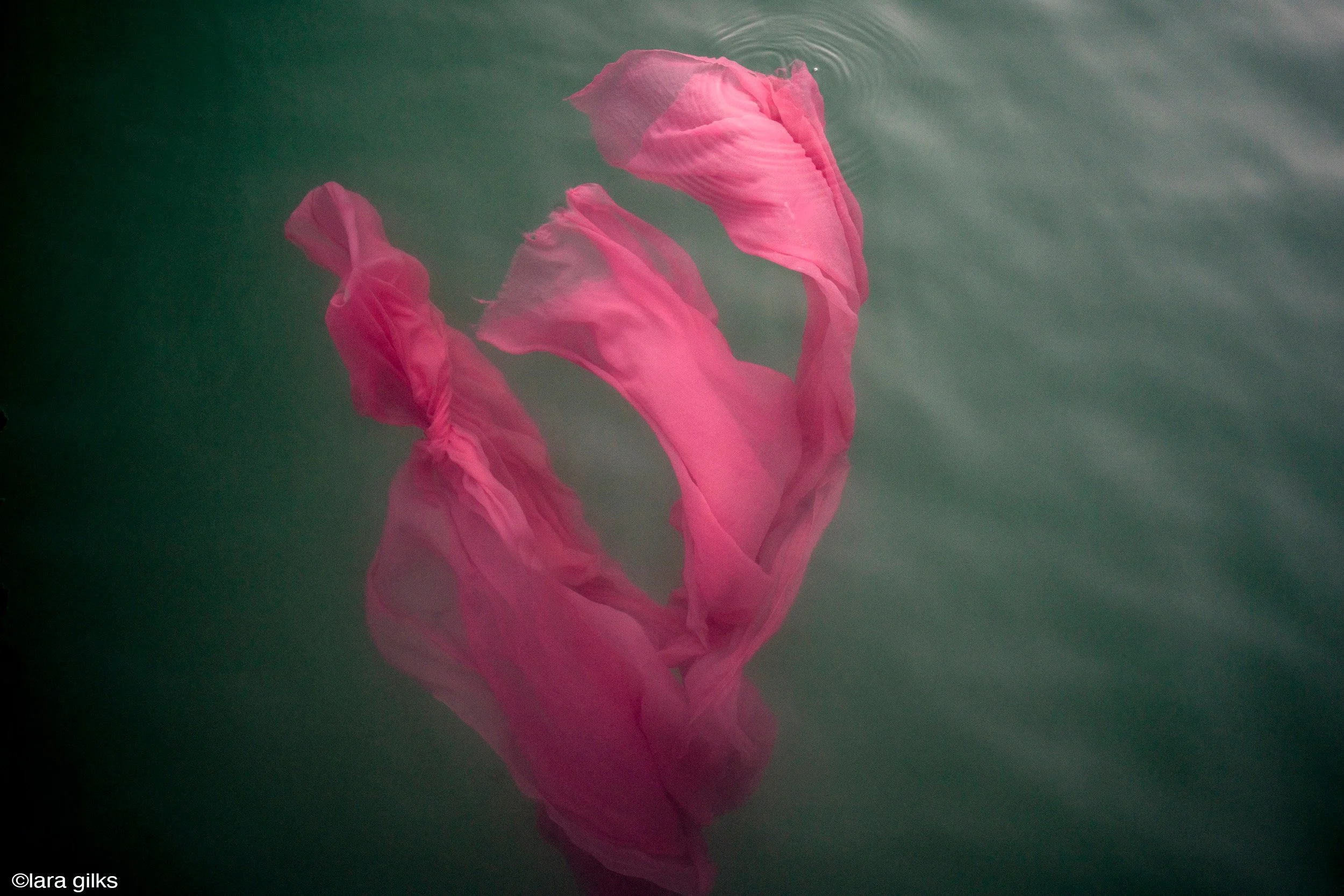 02-see-zeen-019-A-Visual-Dialogue-Gilks_Lara_Visual Alterations_01.jpg