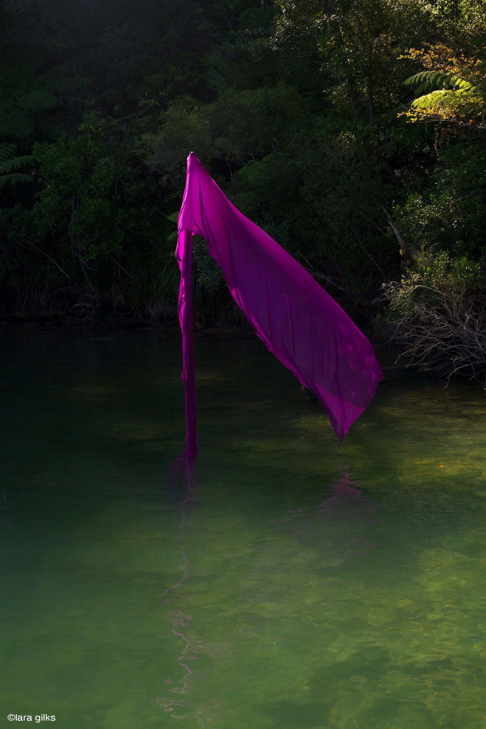 04-see-zeen-019-A-Visual-Dialogue-Gilks_Lara_Visual Alterations_02.jpg