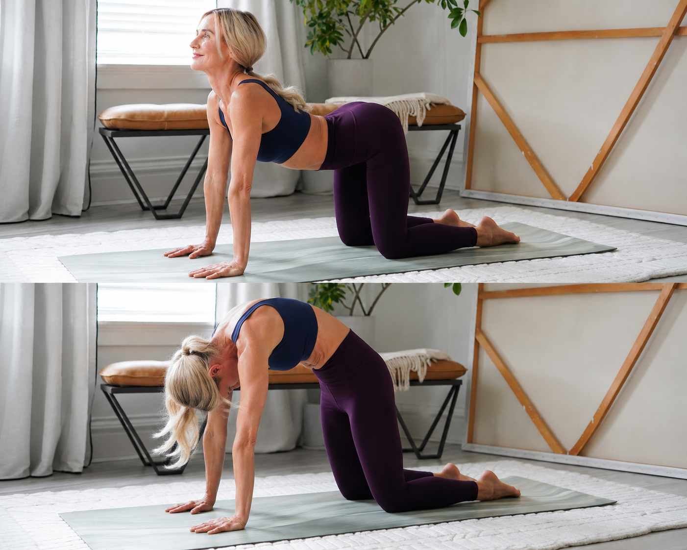 Audri Asana-desk undo -1-3.png