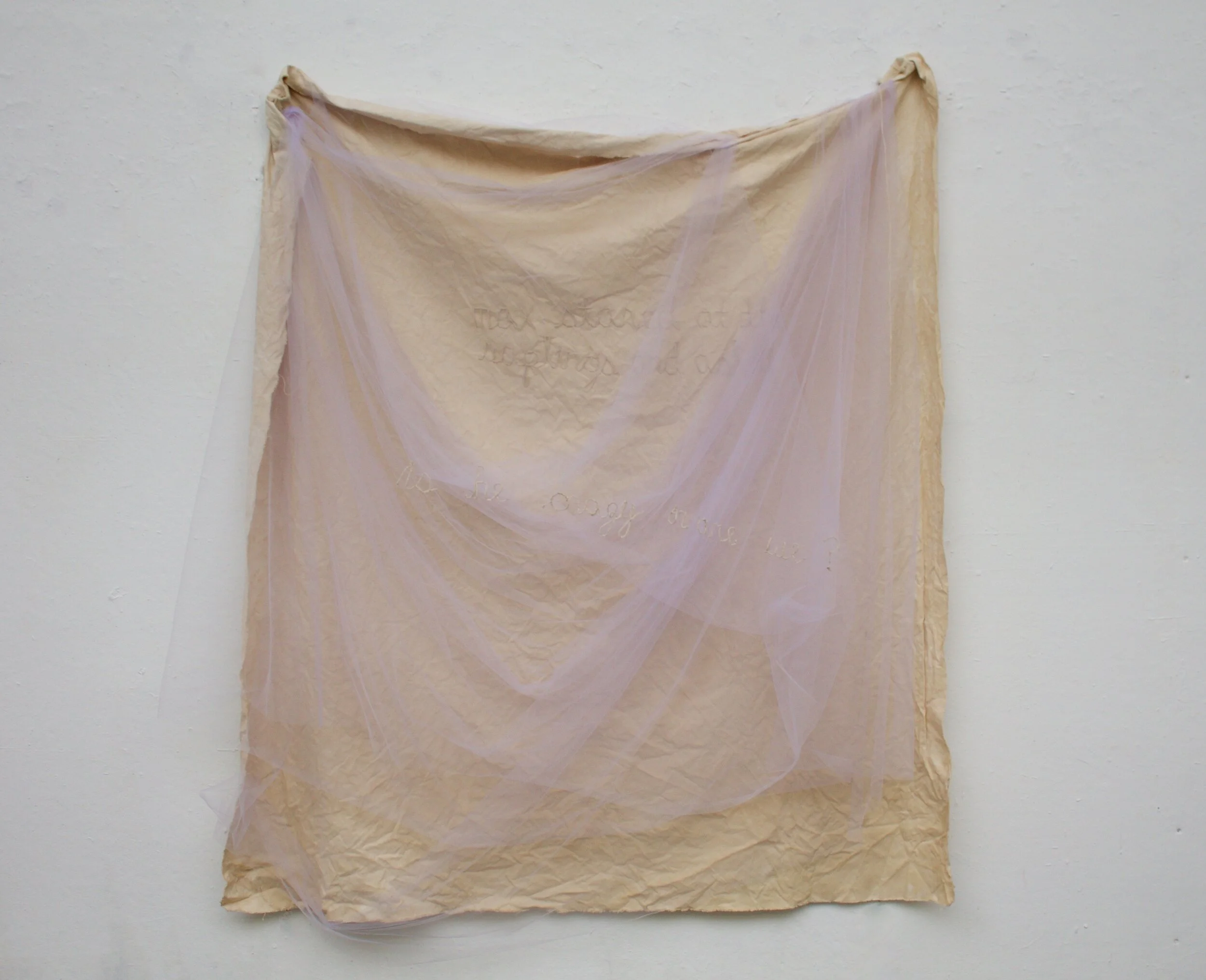 Max Stared at the Saplings and Asked