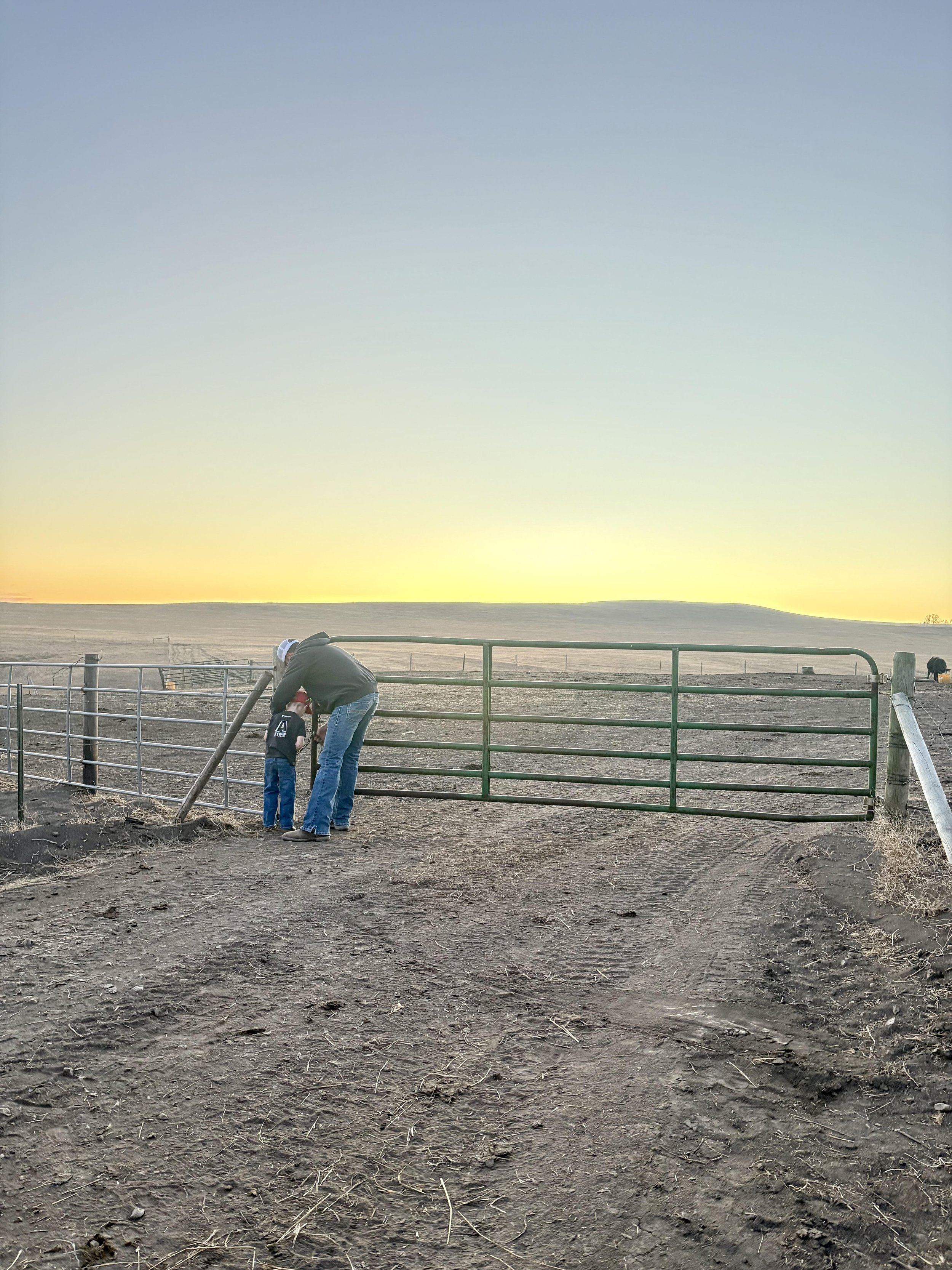 Think Beyond the Driveway: Why Farm Transition Planning Is a Community Issue