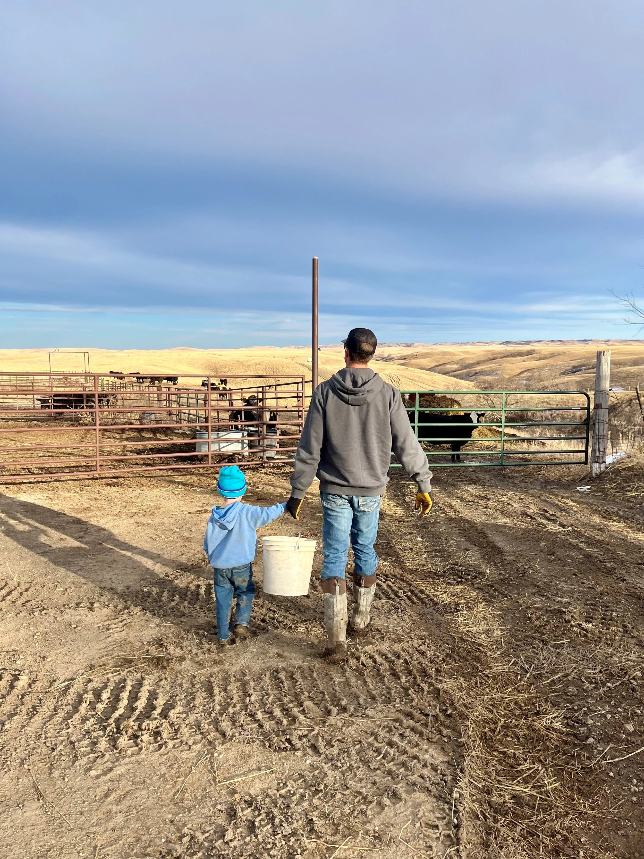 Sharing Control, Not Giving It Up: What Successful Farm Transitions Look Like