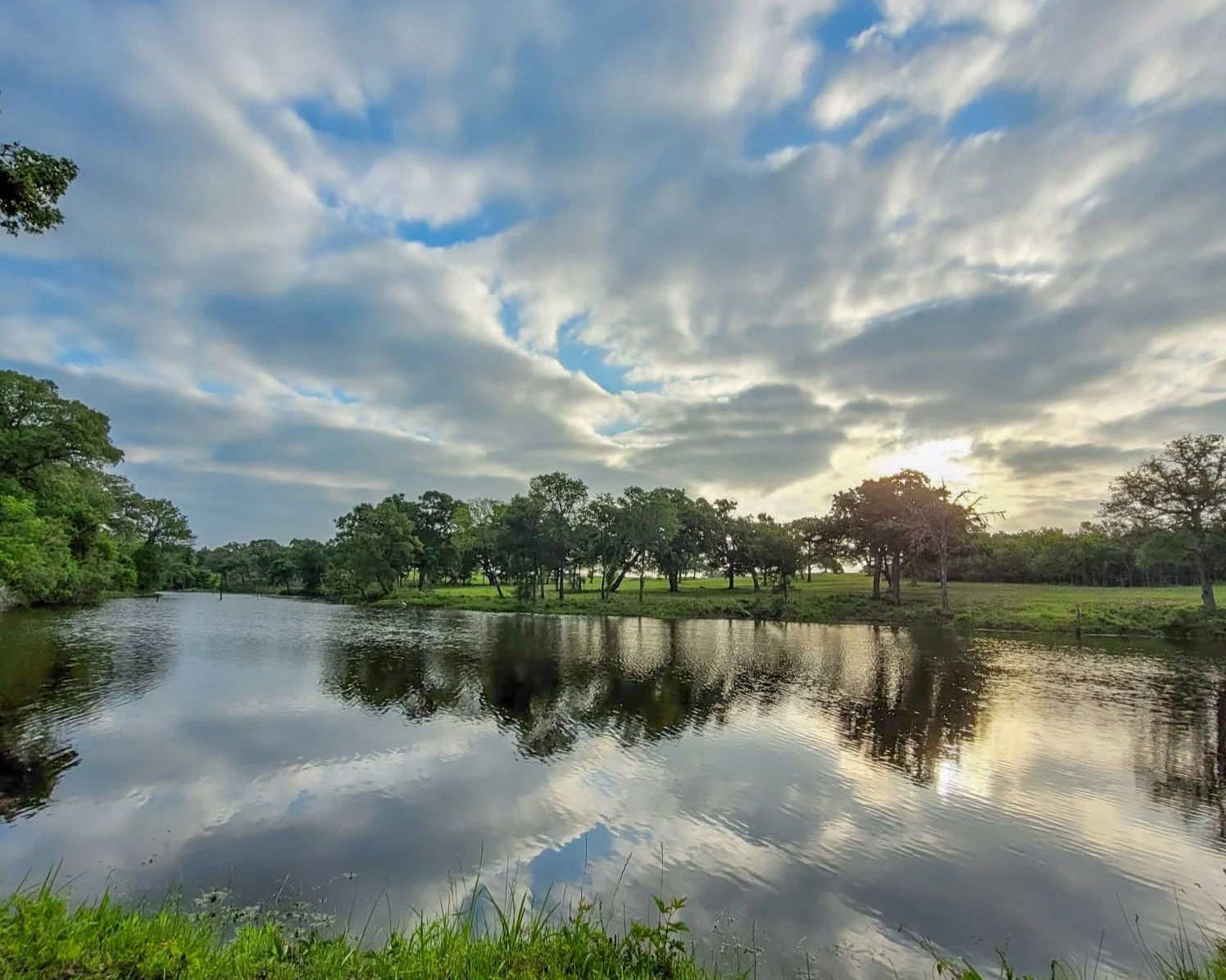 WhatsApp Image 2022-05-18 at 2.jpg