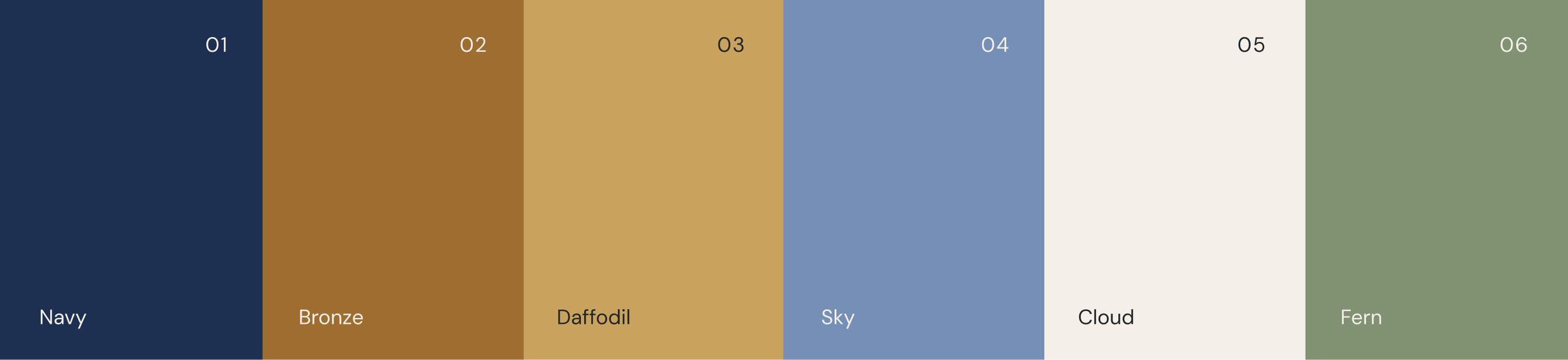 Vervaine O'Donnell rebrand color palette