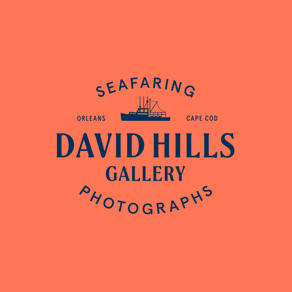 Vervaine logo for David Hills Gallery