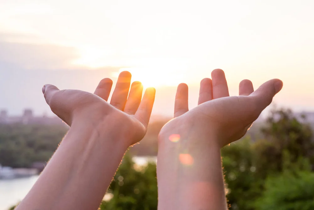 Solar Incentives Rebates And Grants In Southern Alberta Live Solar solar-incentives-rebates-and-grants-in-southern-alberta-live-solar