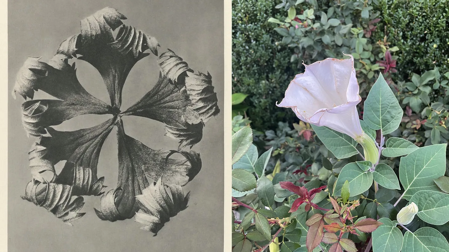 Friction is how we know we're alive