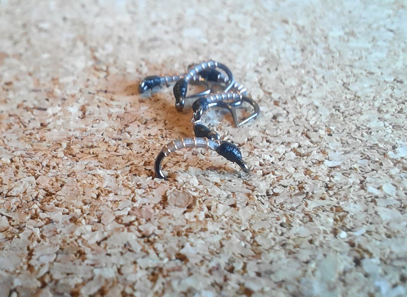 6 - Miracle Midge - Nymphs. Fly Fishing Flies. Colorado Trout Flies. Winter Trout. Winter Midge Patterns. Sizes #14-#22.