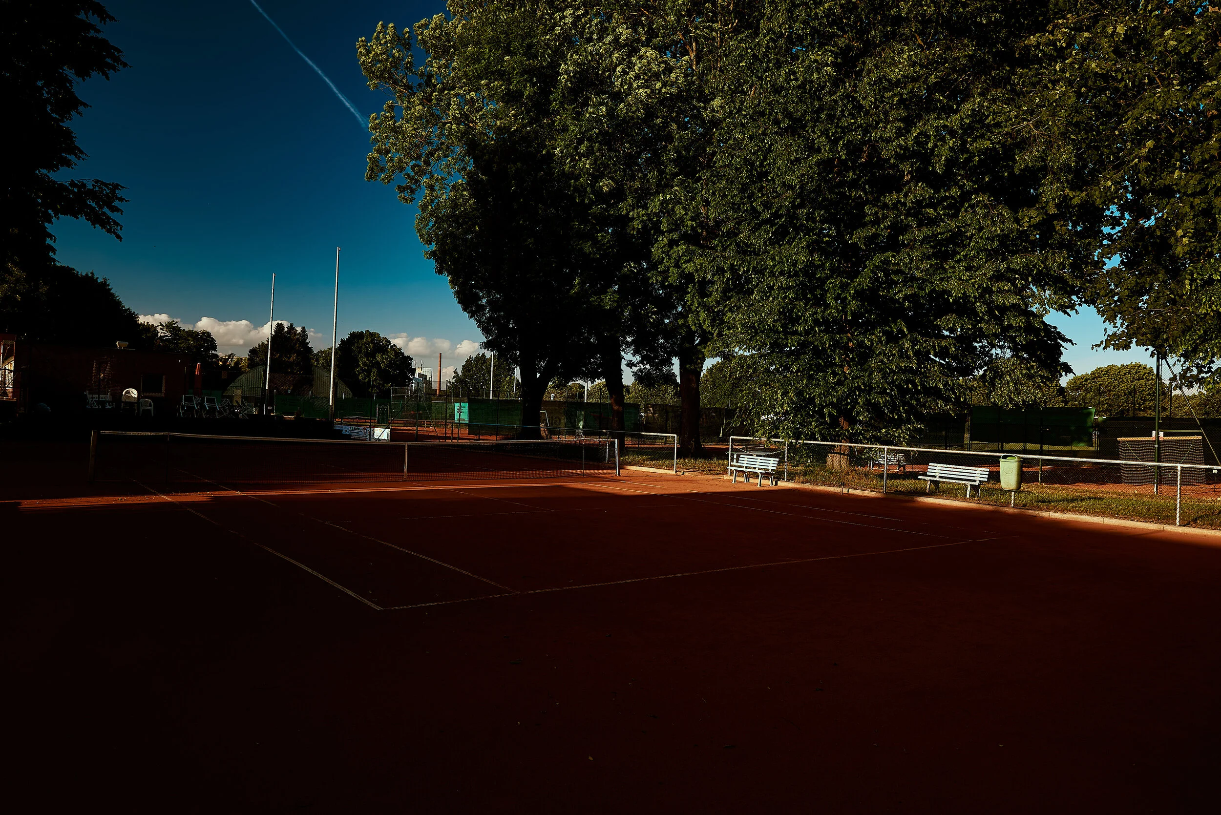 TC_RW_WEB (1-50) _8.jpg