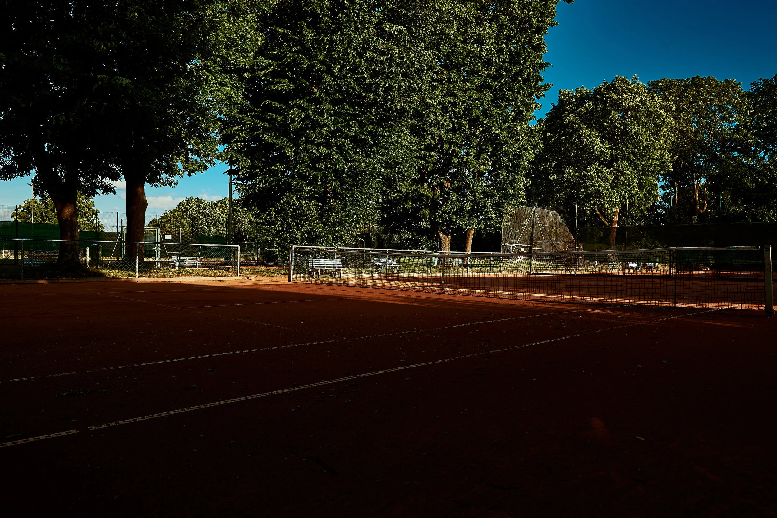 TC_RW_WEB (1-50) _4.jpg