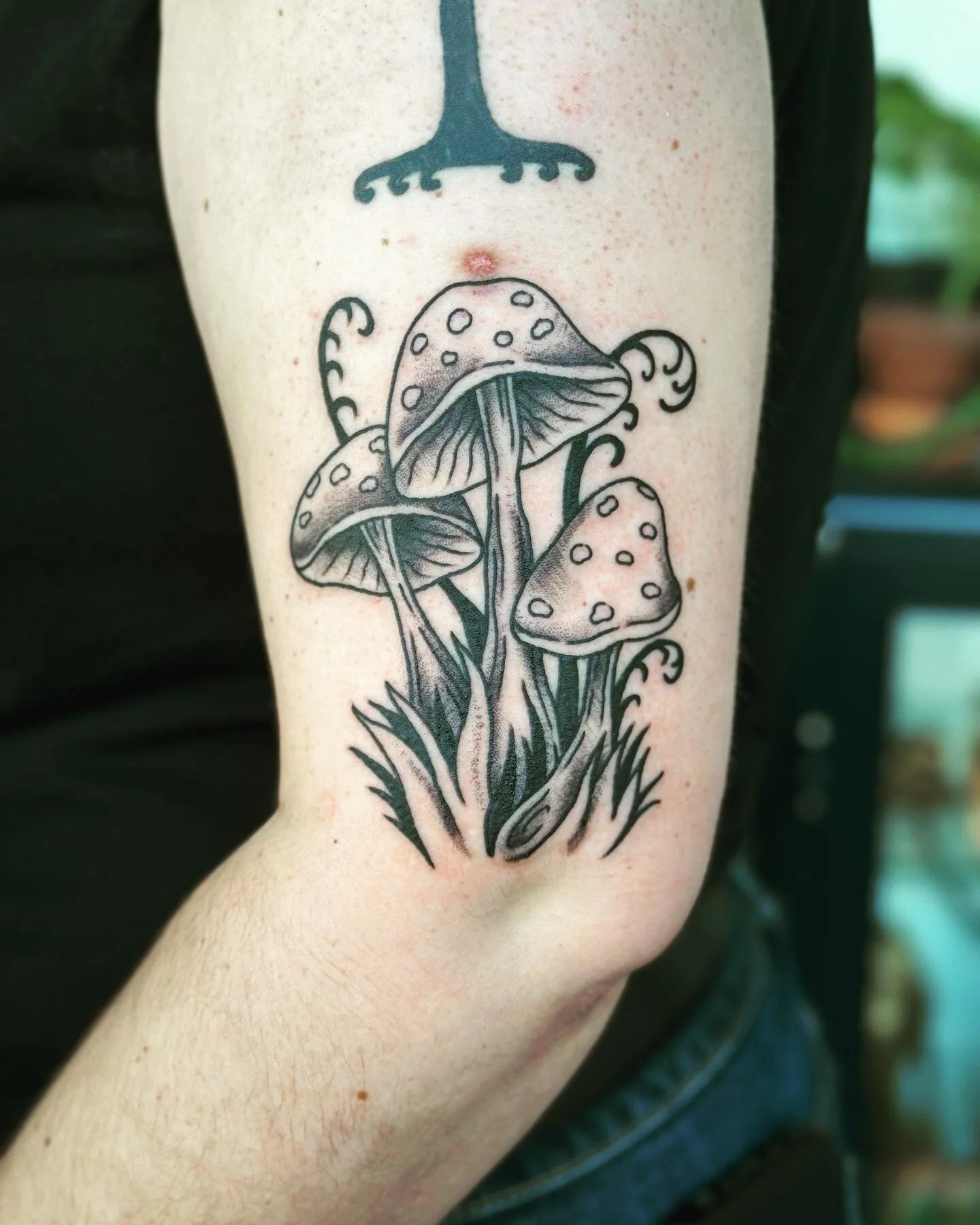Bek and I did mushrooms on Xmas eve. More 🍄 please! #mushroomtattoo #mushrooms  #🍄 #blackandgreytattoo #naturetattoo #qttr #bostontattoo