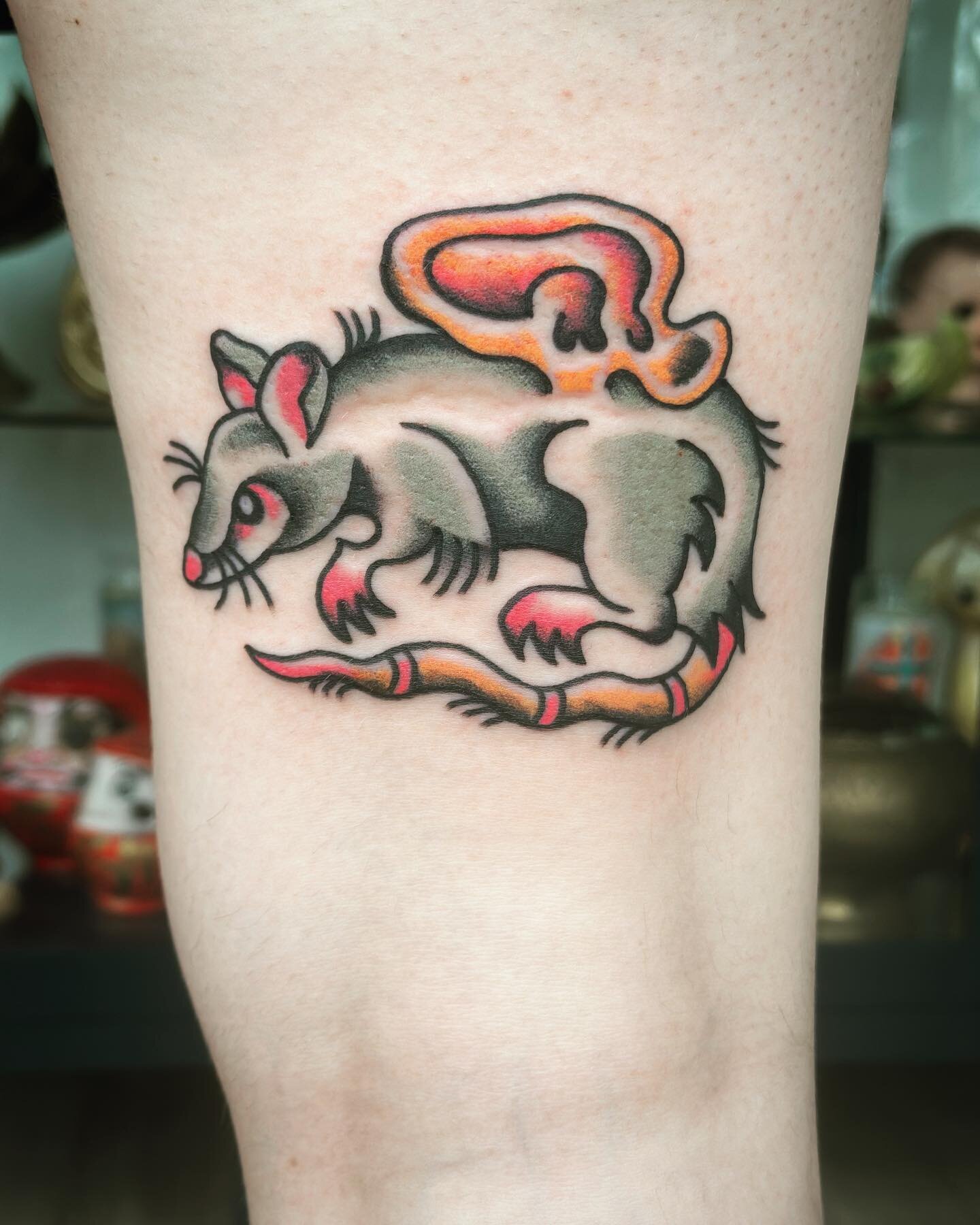 Rat from my flash for @the_square_peg always a pleasure 🐀🙏🏼❤️. #traditionaltattoo #rattattoo #tattooflash #flashtattoo #queerboston #trnbtattooists #colortattoo #boldtattoos #weirdtattoo