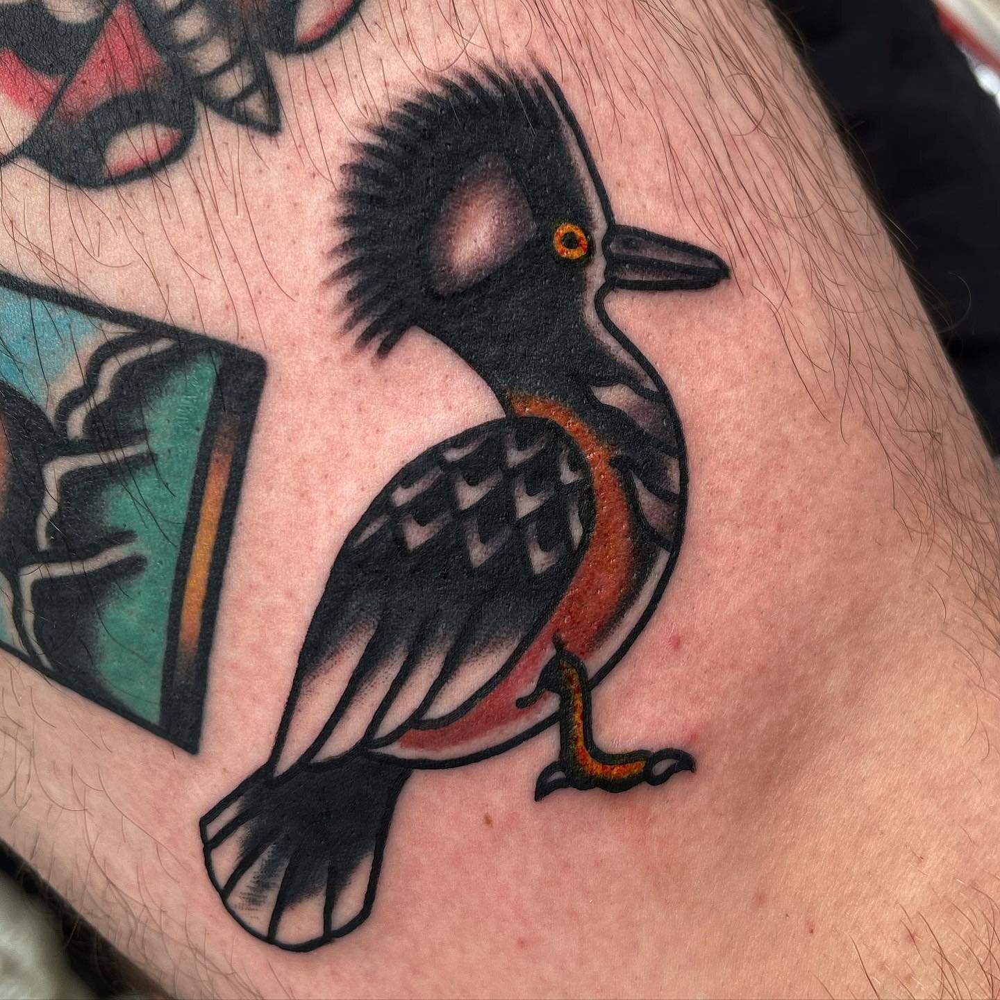 My afternoon appointment for today cancelled so email me dr.crimeboy@gmail with &ldquo;today&rdquo; in the memo if you wanna come in now ! Thanks !
#traditionaltattoo #tradworkers #americantraditional #ducktattoo #bright_and_bold #bostontattoo #bosto
