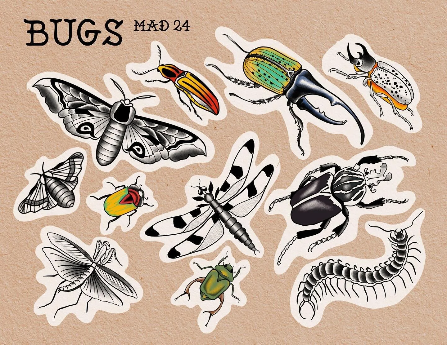 More flash🪲 booking through the link in bio!