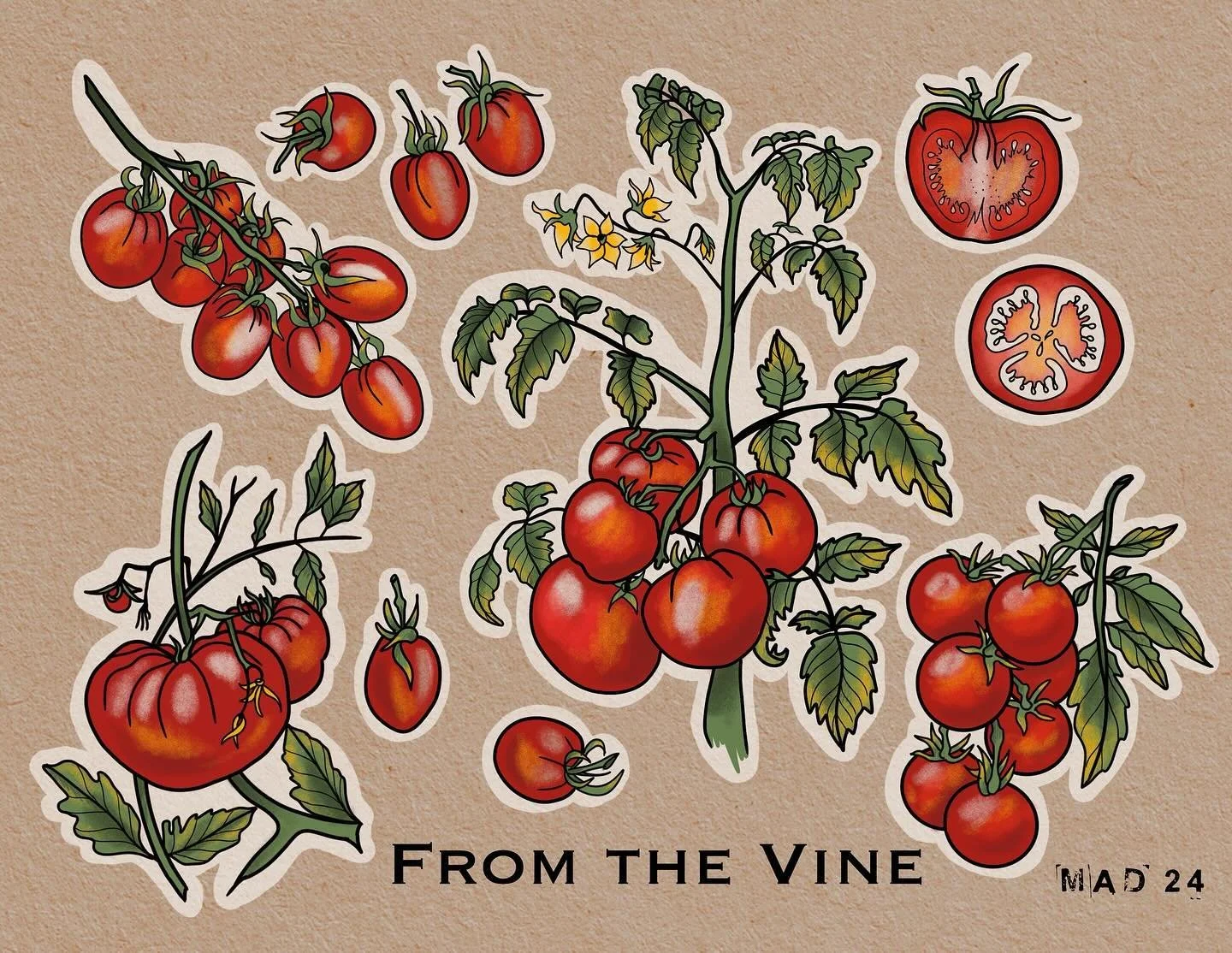 Tomatoes from the vine. I have time in September, book thru the link in my bio!