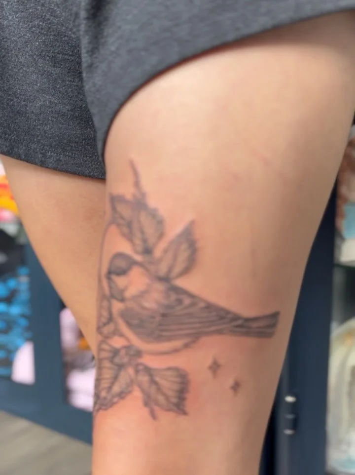 &bull;cutie chickadee with alder branches for Liz ✨ thanks for the trust in this project for you! booking for October link in bio ✨&bull;
&bull;
&bull;
&bull;
&bull;
&bull;
#botanicaltattoo#naturetattoo#birdtattoo#chickadeetattoo#bostontattoo#tattoob