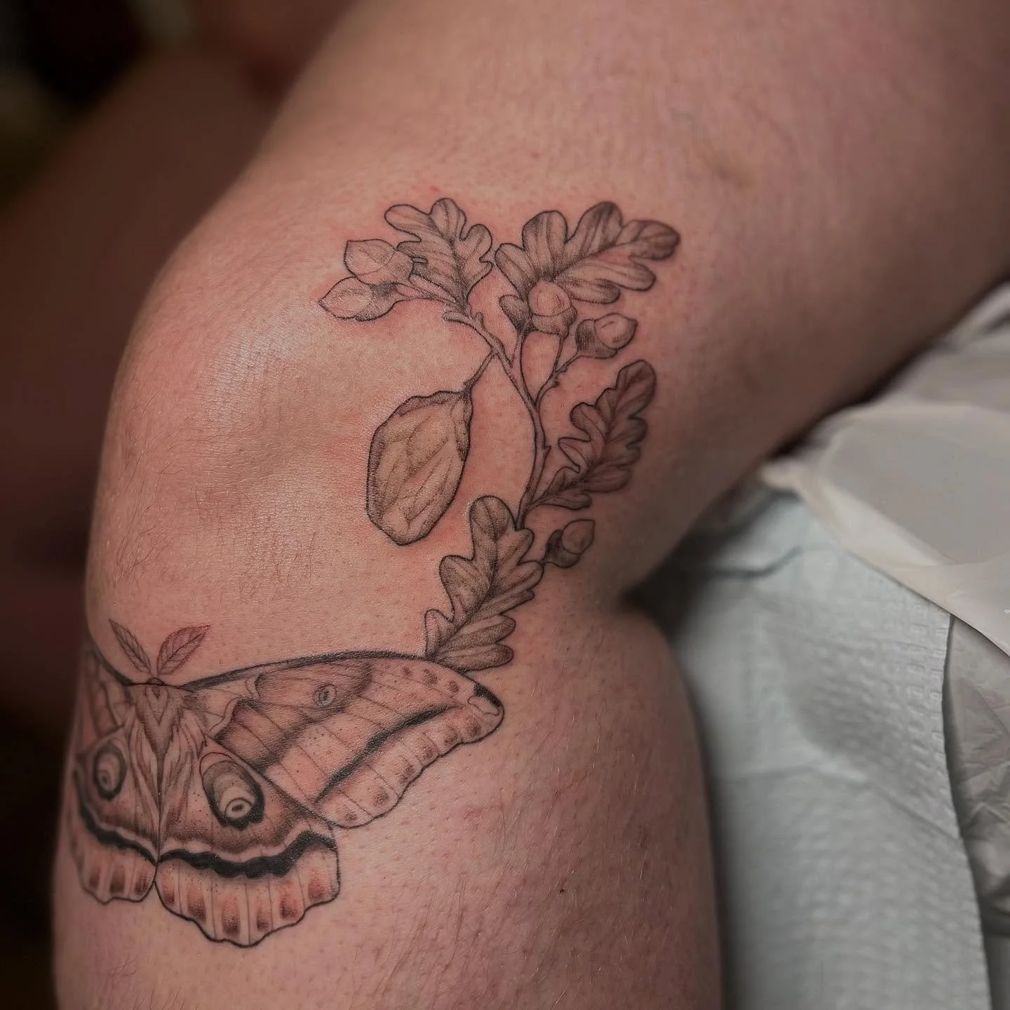 &bull;polyphemus moth life cycle, heron, tarot card, hand tats, chest tats, tigers, oh my!! been busy recently and lovin all the ideas keep em comin. Booking for Oct/Nov thanks for looking ✨&bull;
&bull;
&bull;
&bull;
&bull;
#bostontattoo#tattoobosto