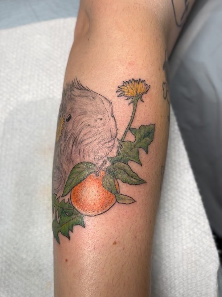 &bull;some pieces over the last few weeks including a guinea pig pet portrait, cerecopia moth cycle, funky bunny from my flash, another moth, ferns, a tooth, thorns, etc. you get the gist. Come get tattooed @saidanddonetattoo always booking, link in 