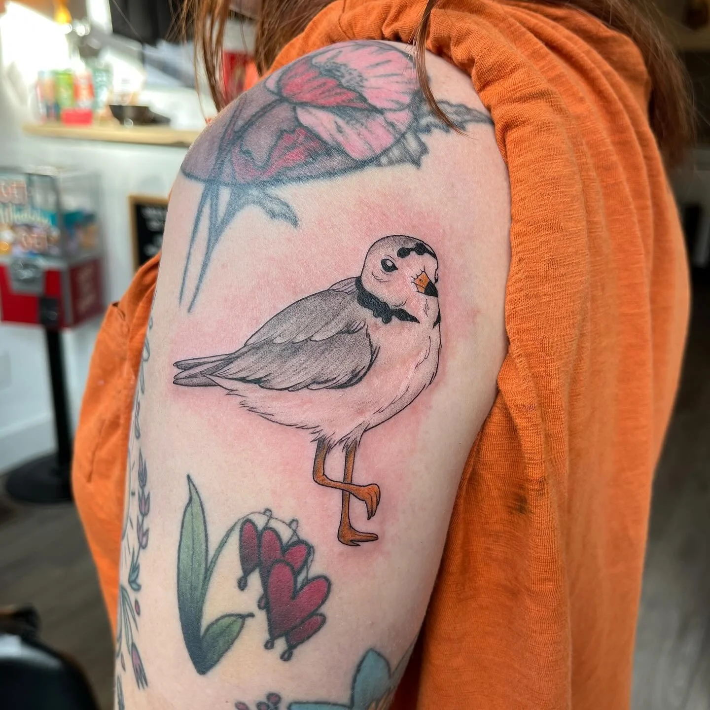&bull;piping plovers for these lovers ✨ more birds, always. Booking for December, link in bio&bull;