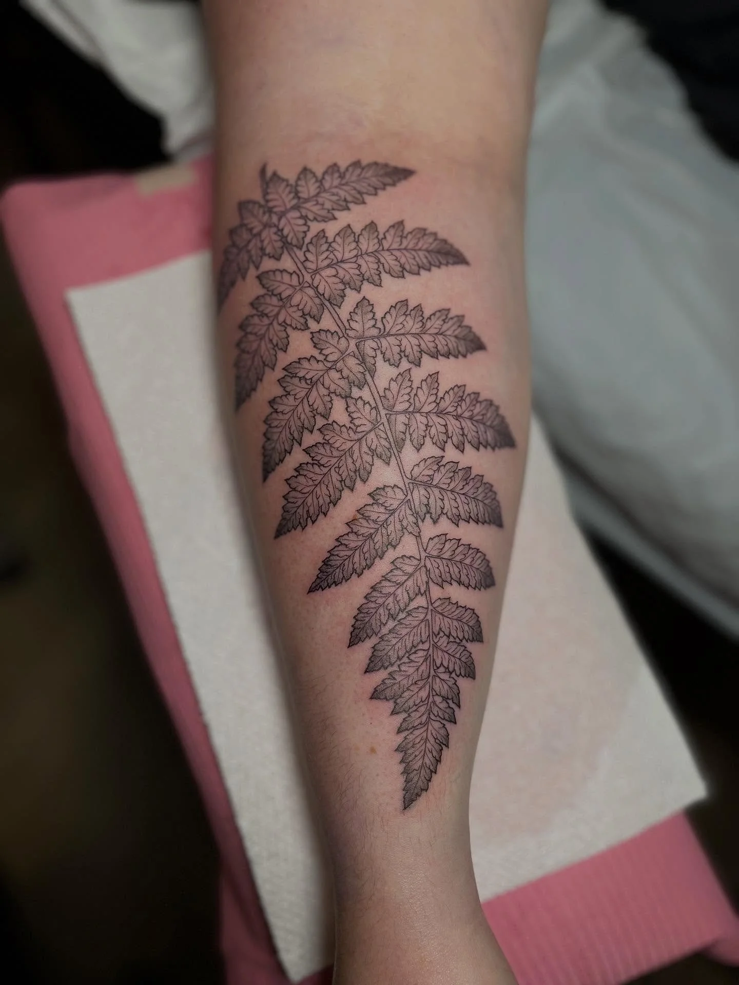 &bull;some recents of recent ✨ more biiiiig ferns and birds please + thank you 🫶🏼 link in bio to book for Dec/Jan&bull;
&bull;
&bull;
&bull;
&bull;
#bostontattoo#tattooboston#masstattoo#tattoomassachusetts #jptattoo#tattoojp#jamaicaplaintattoo#newe