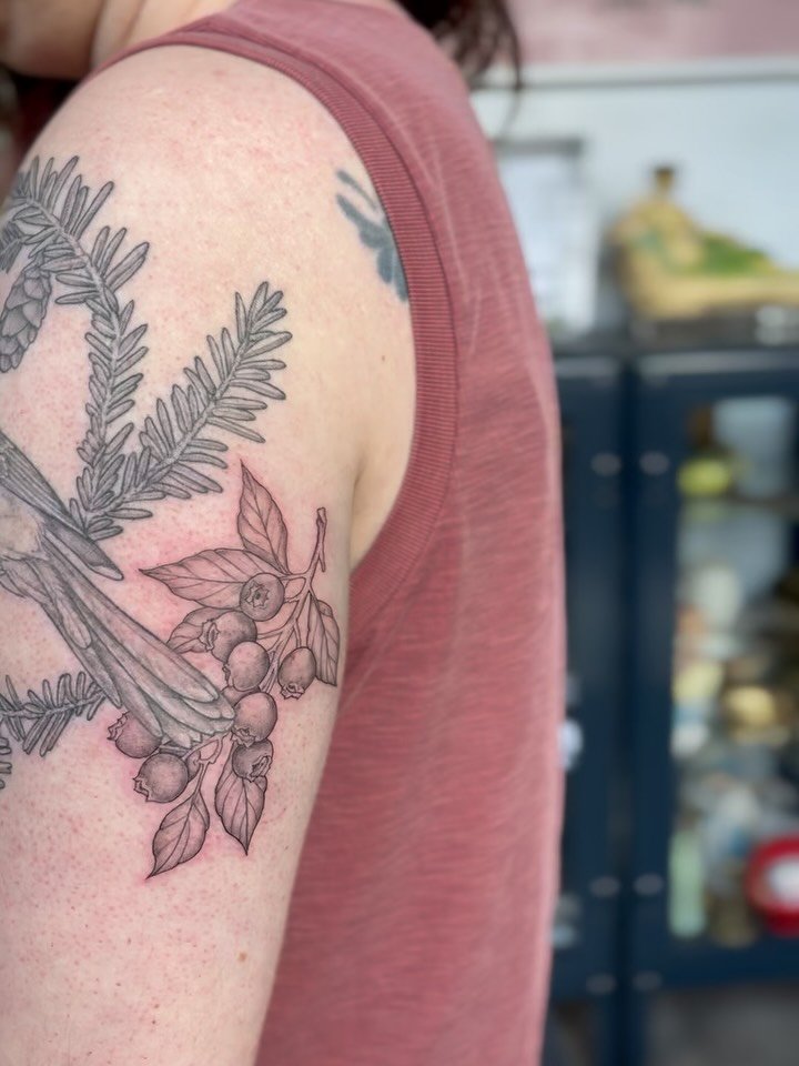 &bull;added on to Bonni&rsquo;s Grey Jay with some blueberries. Looove building on botanical sleeves and very excited to keep at this project. The style sleeve work I do is easy to add on over time both budget friendly and gives you time to wait unti