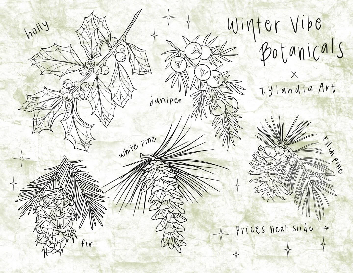 &bull;new flash! When i had recently asked on my stories what kinds of flash people wanted, nobody said pine cones of the North East, and yet, I really wanted to draw some 😂 So take it or leave it. These are cutie fillers or can be paired with a win