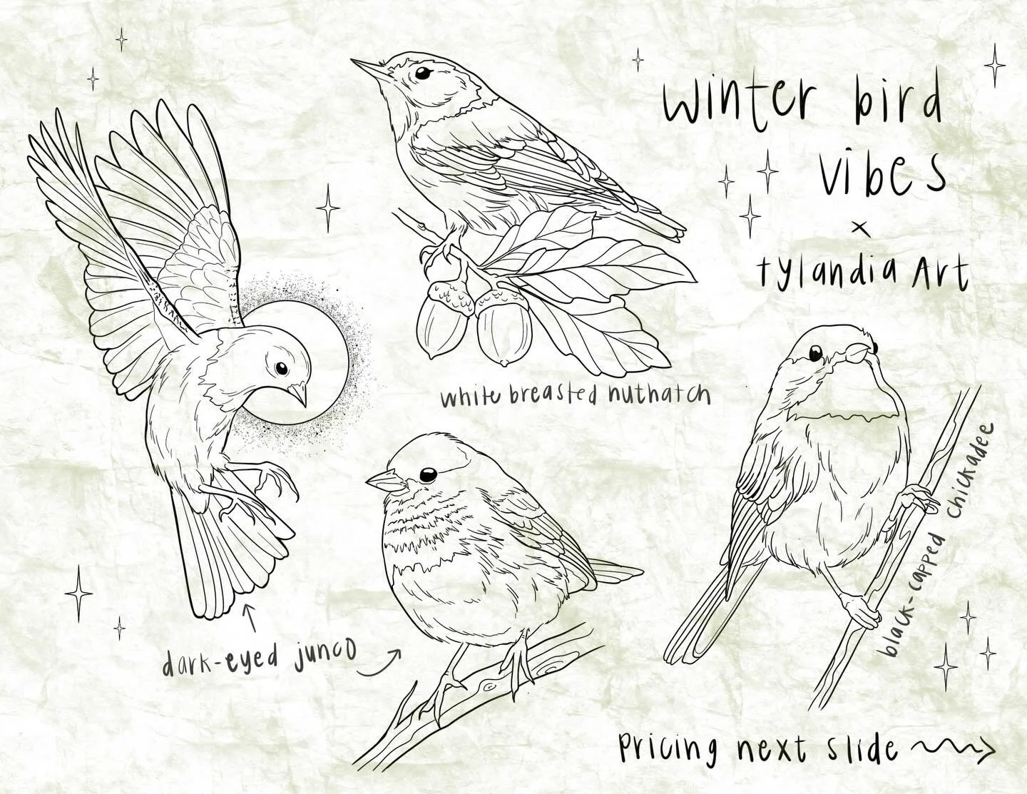 &bull;if you&rsquo;ve perused my page, you know i do a lot of birds! Here&rsquo;s some cutie patootie birds of the North East including Massachusetts state bird floof, the black-capped chickadee. All of these flash are repeatable and pricing may incr