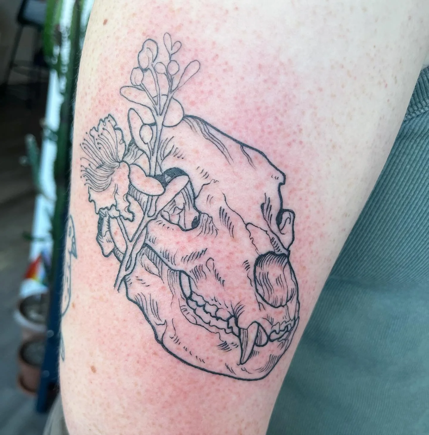 More #skulls 💀💀💀