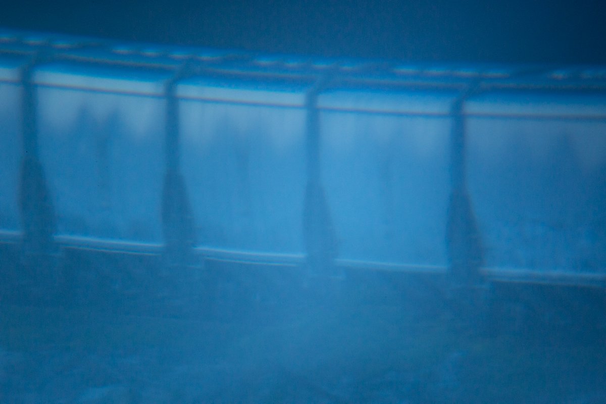 2P1A7124.jpg