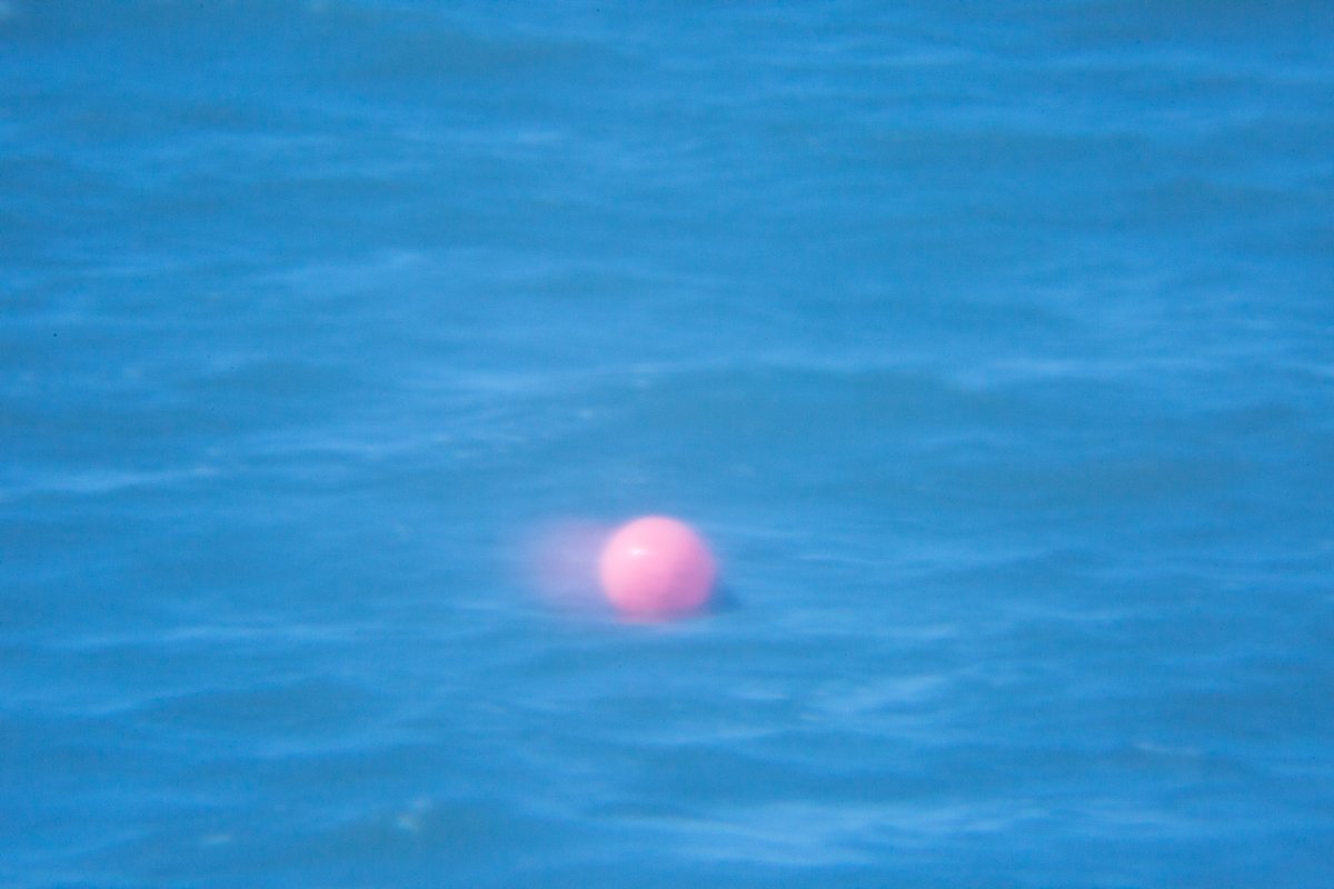 2P1A7212.jpg