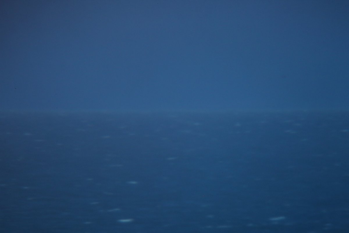 2P1A6099.jpg