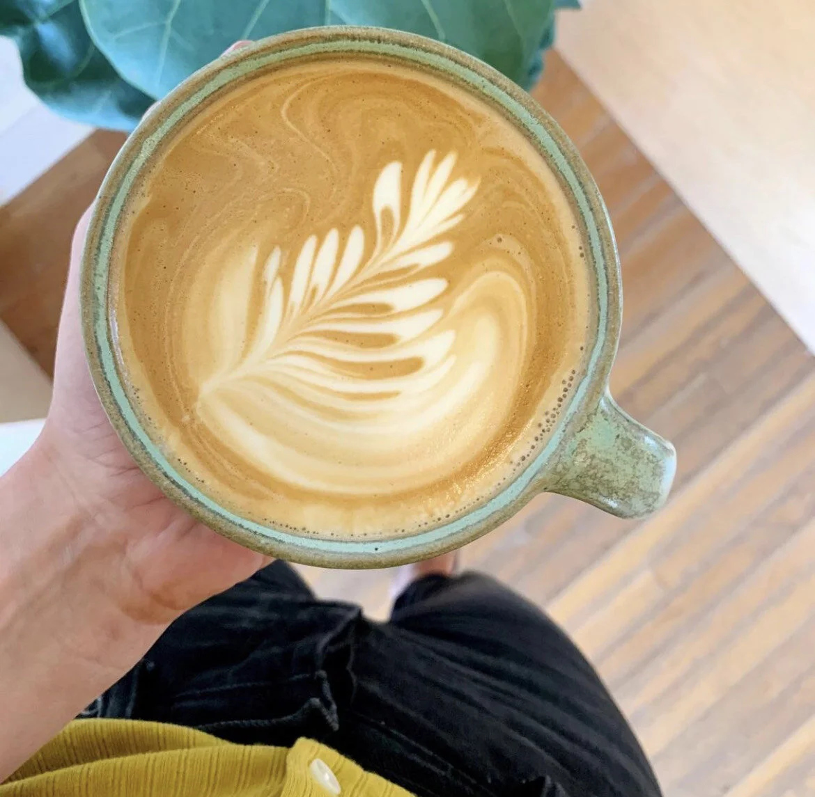 image_6487327 (1).JPG