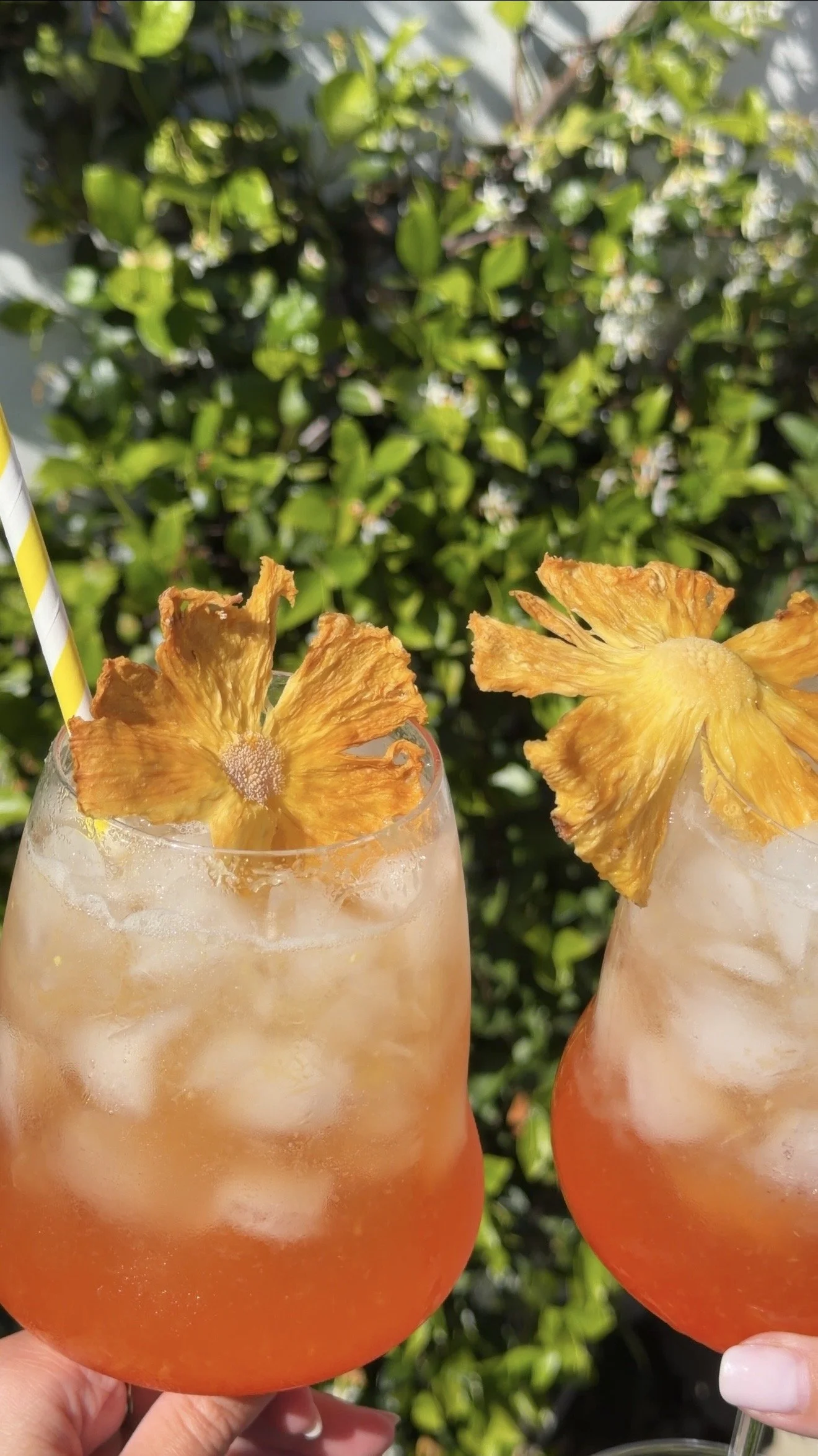 Easy Dried Pineapple Garnish Recipe for Spritzes &amp; Cocktails