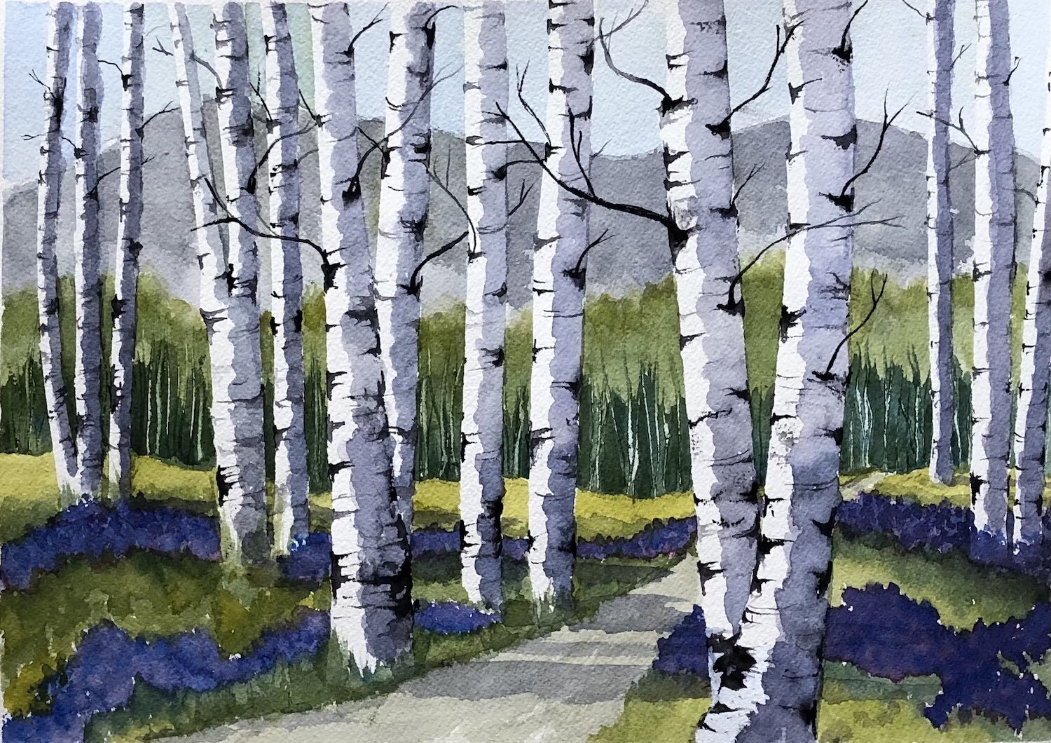 Birches and Bluebells