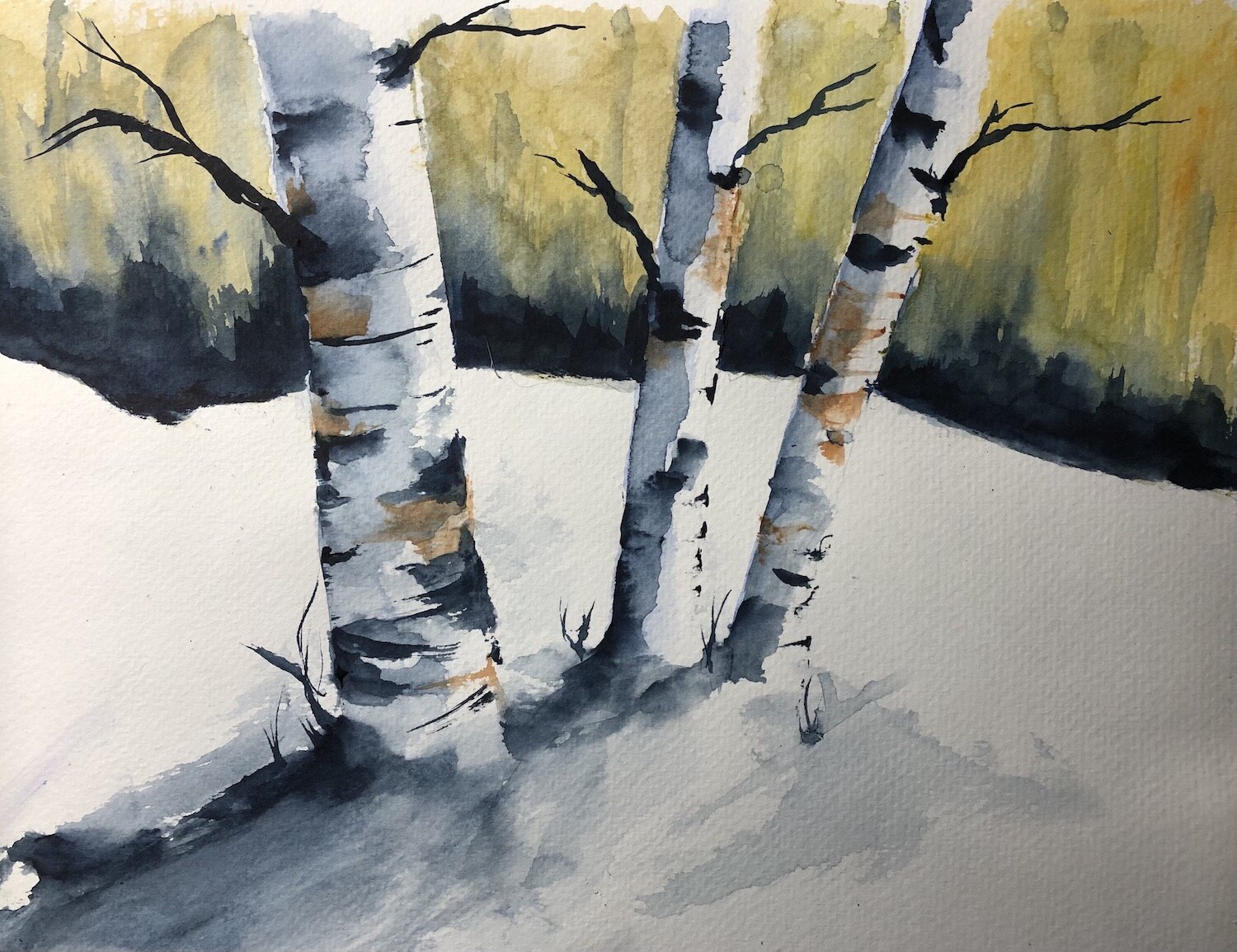 Winter Birches