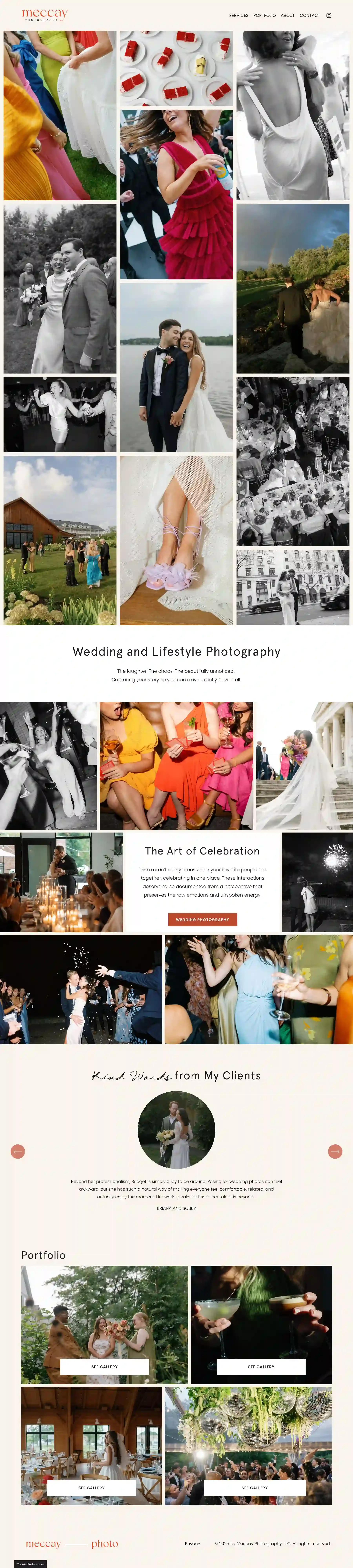 A screenshot of Bridget Schaefer's new website homepage