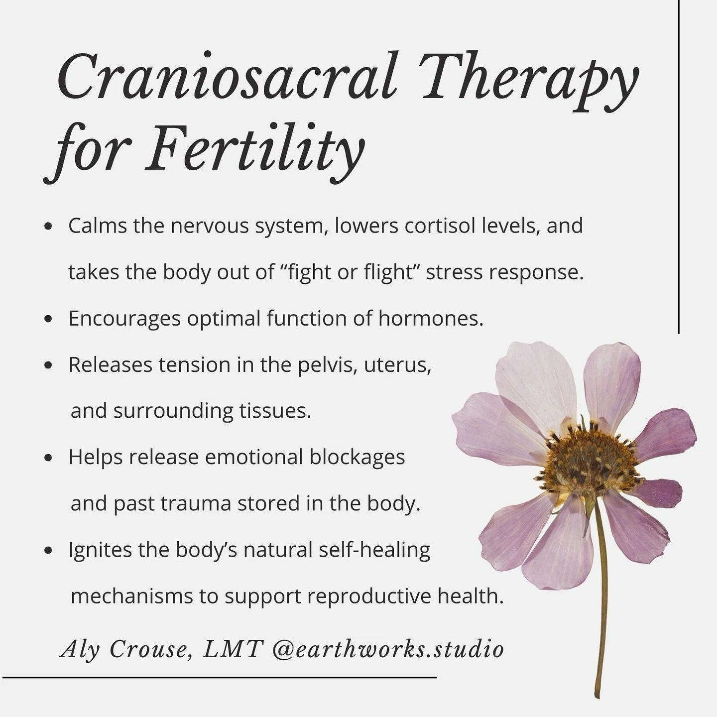 Trying to conceive? 💫 Craniosacral Therapy offers a gentle, holistic approach to support your fertility journey &mdash; from reducing stress and balancing hormones to improving pelvic alignment and emotional well-being. I&rsquo;ve worked with so man