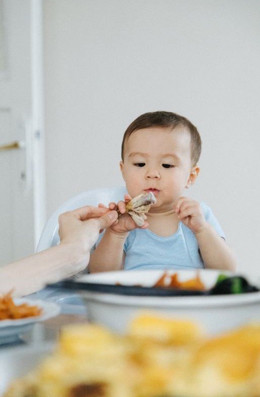 Dash of Darling  Baby Led Weaning Infant Self Feeding by Feeding