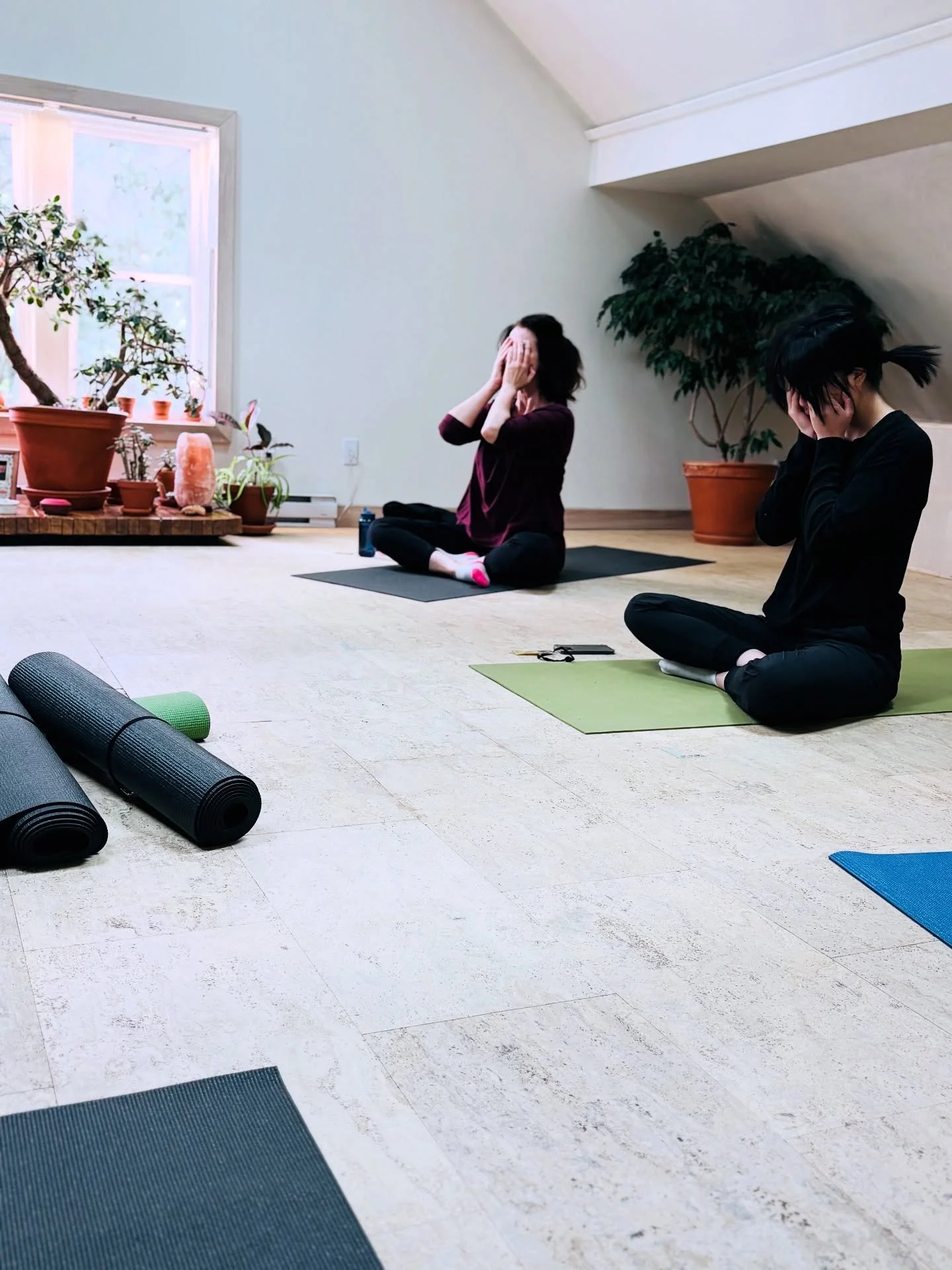 A Look Back - And an Invitation Forward
This past Sunday, our Collective Care Circle at The Branches @thebranchesyoga brought together a beautiful group of community members for a quiet hour of somatic healing, shared breath, and gentle presence.
L